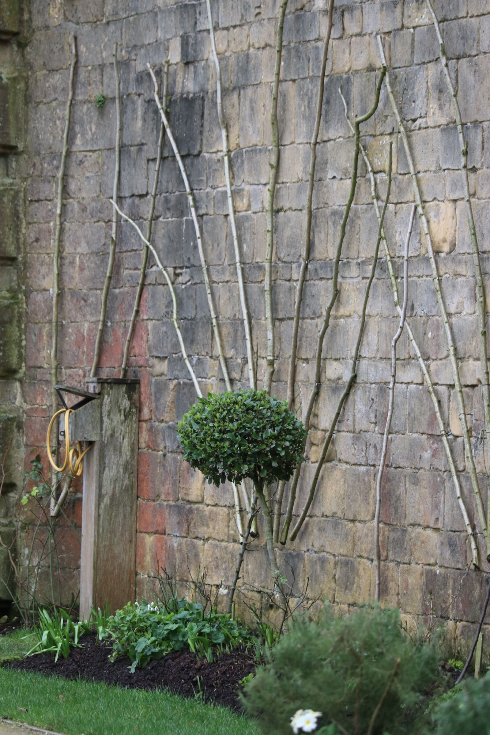 Canon EF-S 55-250mm F4-5.6 IS STM sample photo. Bush, grass, green, kitchen photography