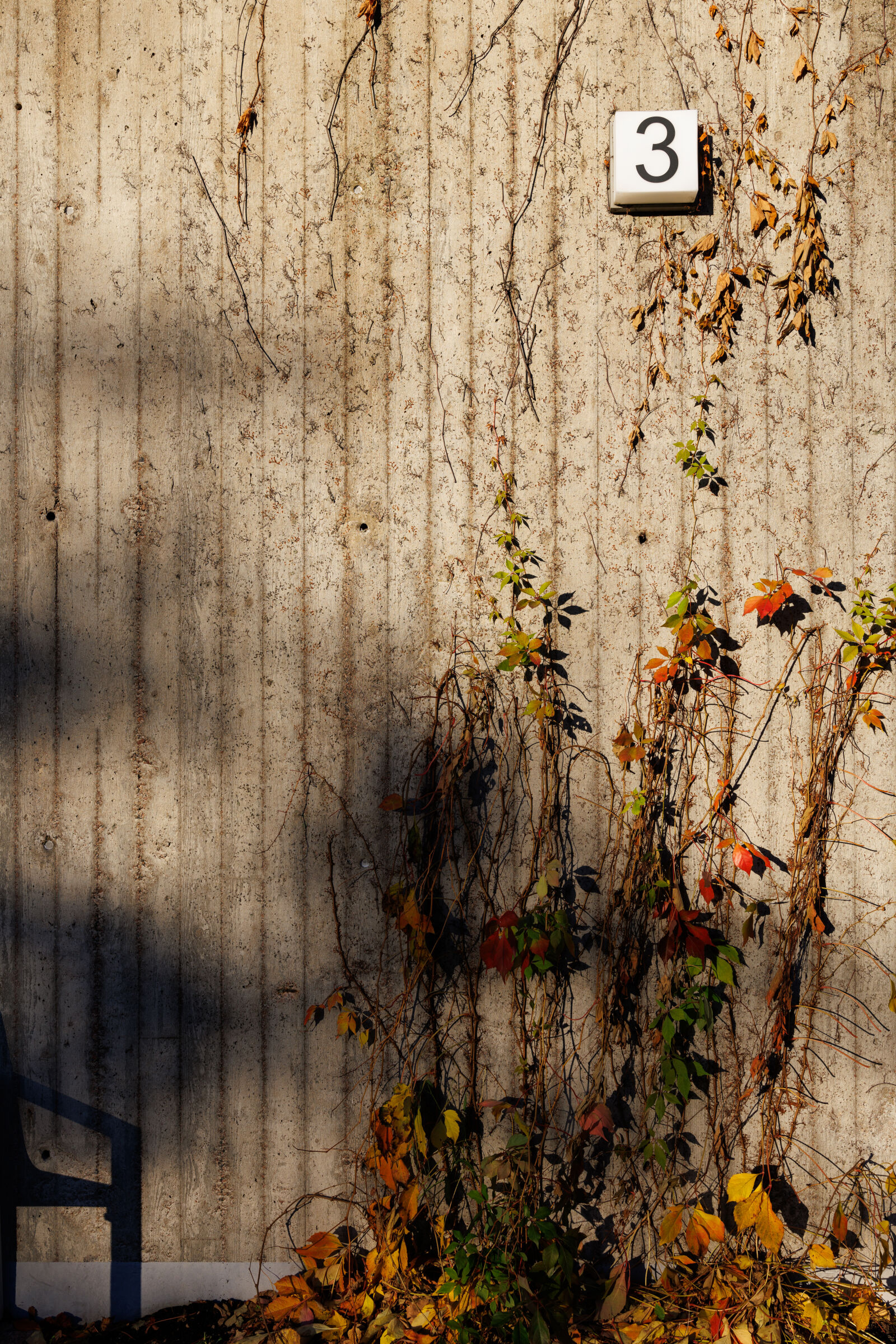 Canon EOS R5 Mark II sample photo. Morning concrete wall photography