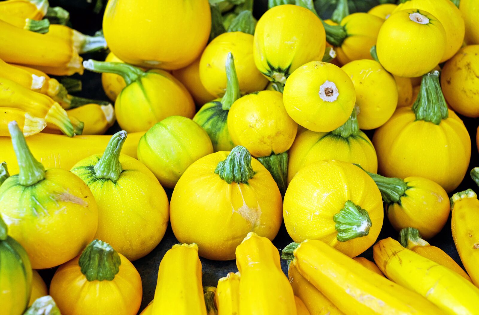 Fujifilm X-T10 + Fujifilm XF 35mm F1.4 R sample photo. Zucchini, vegetables, yellow photography