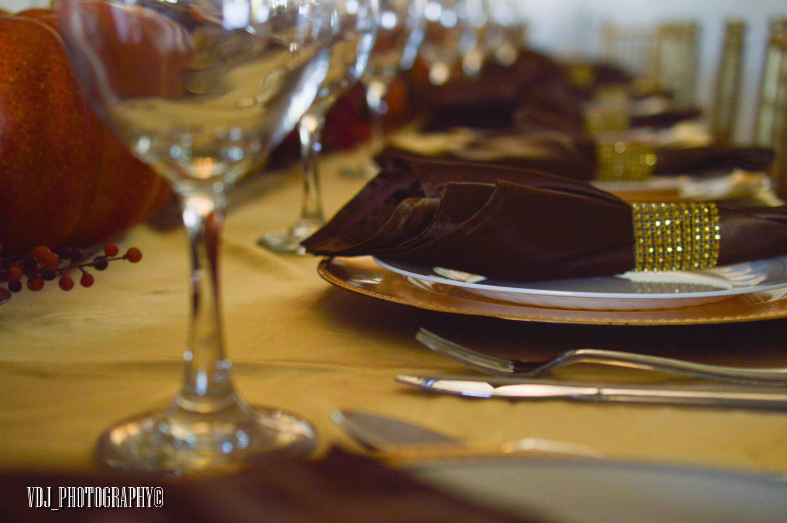 Nikon AF-S DX Micro Nikkor 40mm F2.8 sample photo. 954, photos, alyssa, events photography