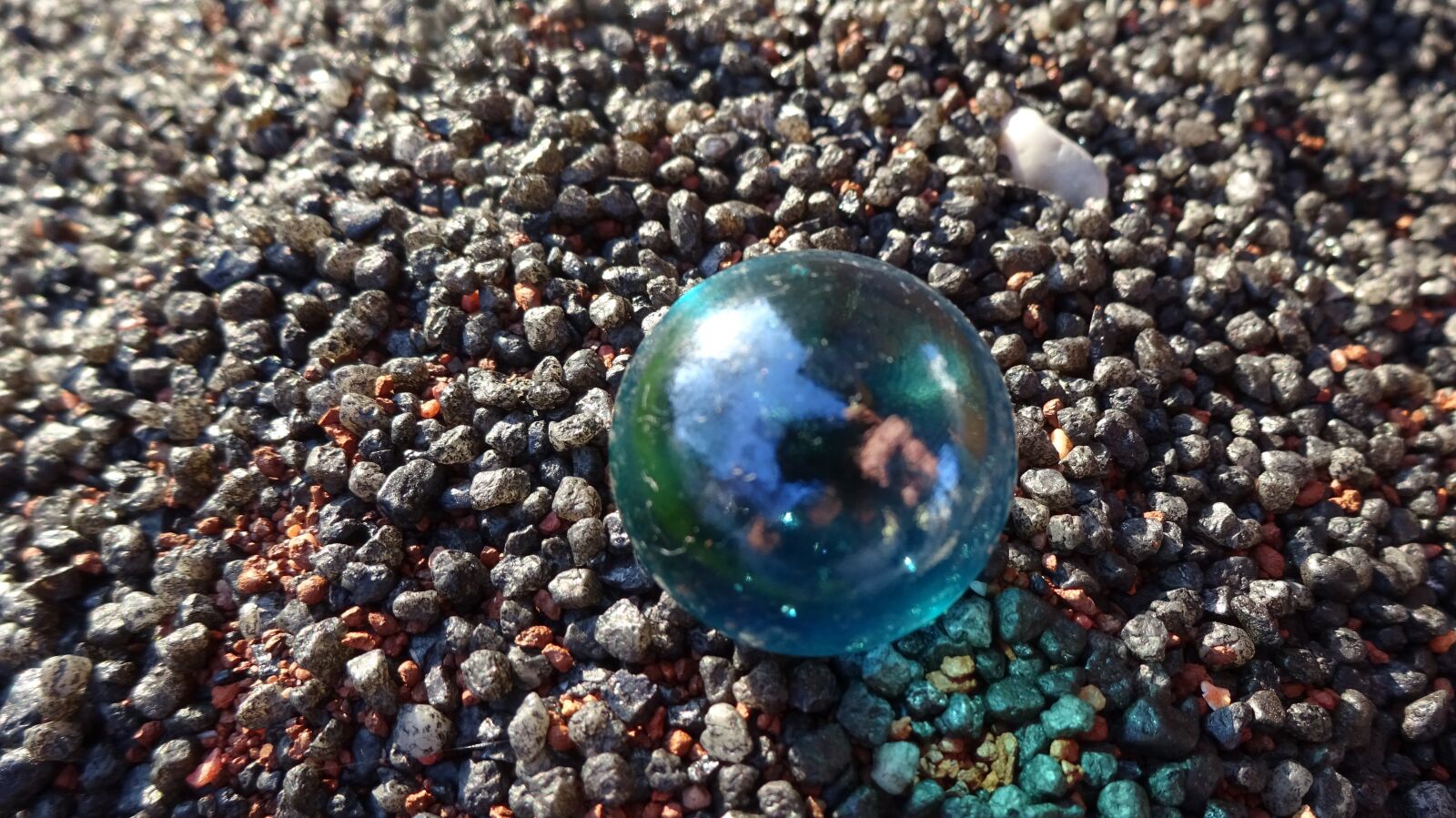 Sony Cyber-shot DSC-WX350 sample photo. Marble, summer, bee photography
