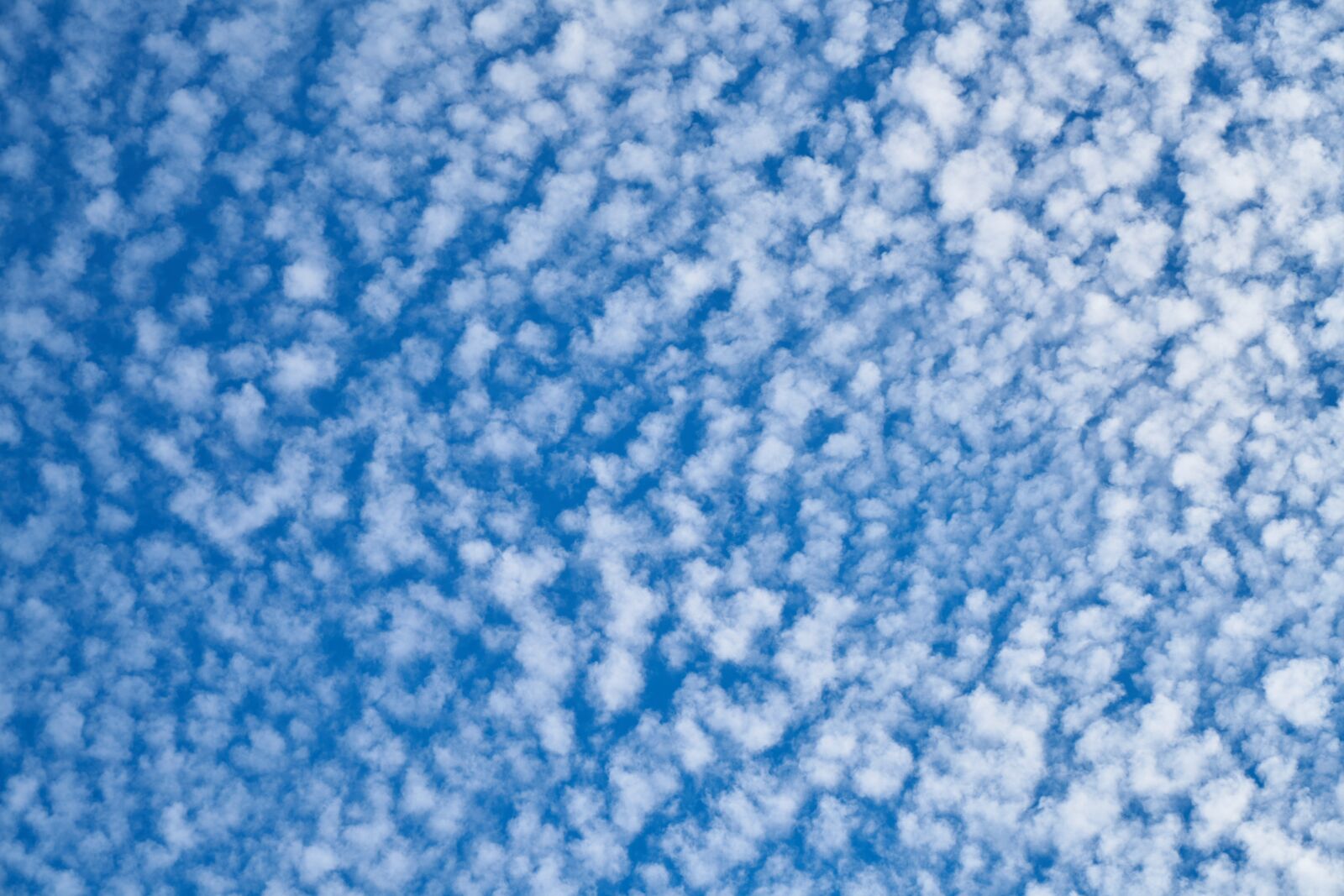 Sony a7R II sample photo. Cloud, blue, sky photography