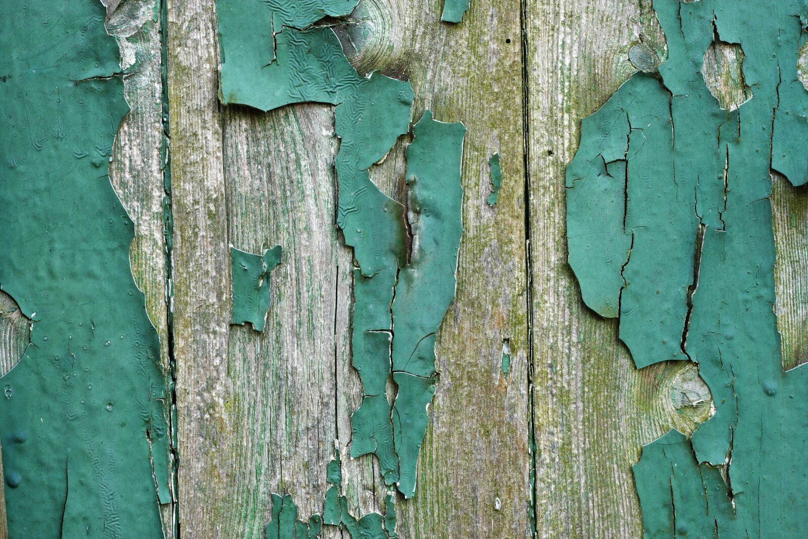 Canon EOS 40D sample photo. Wood, door, old photography