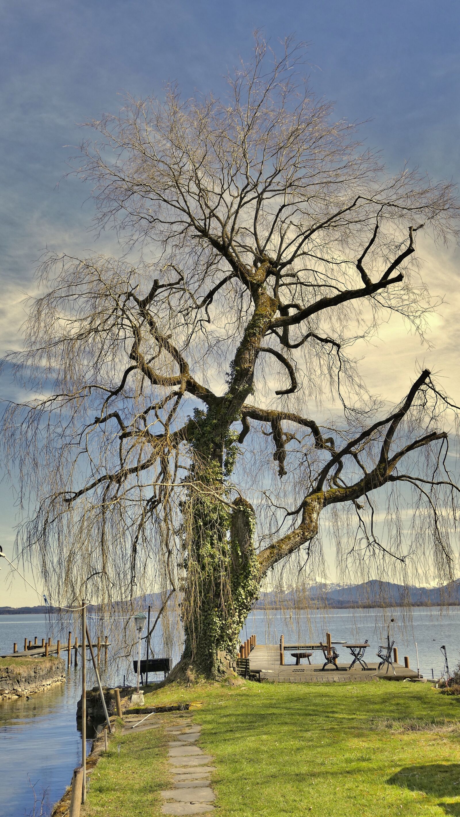 Panasonic Lumix DMC-FZ1000 sample photo. Tree, nature, wood photography
