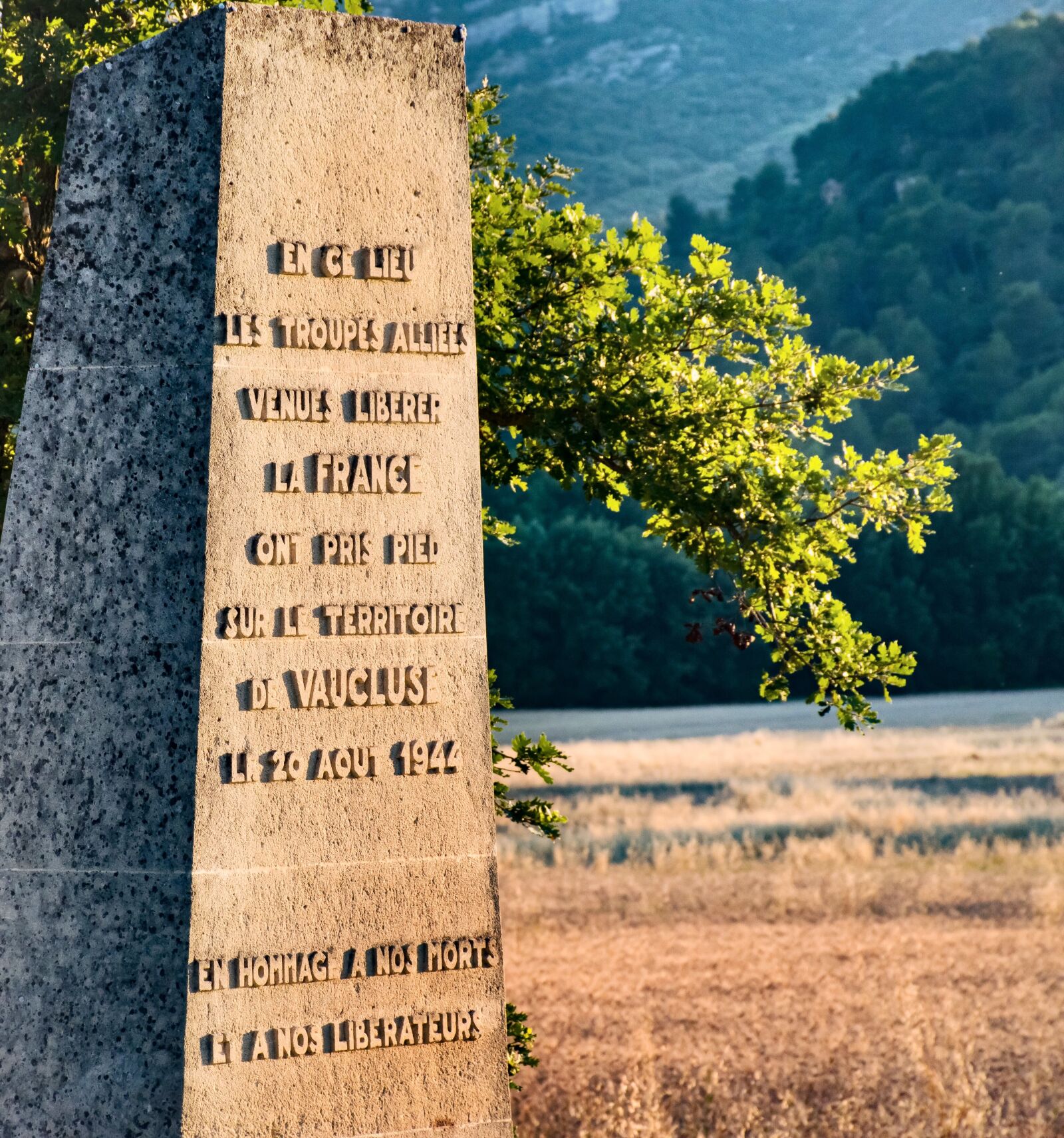 Nikon D5600 sample photo. Monument, world war ii photography