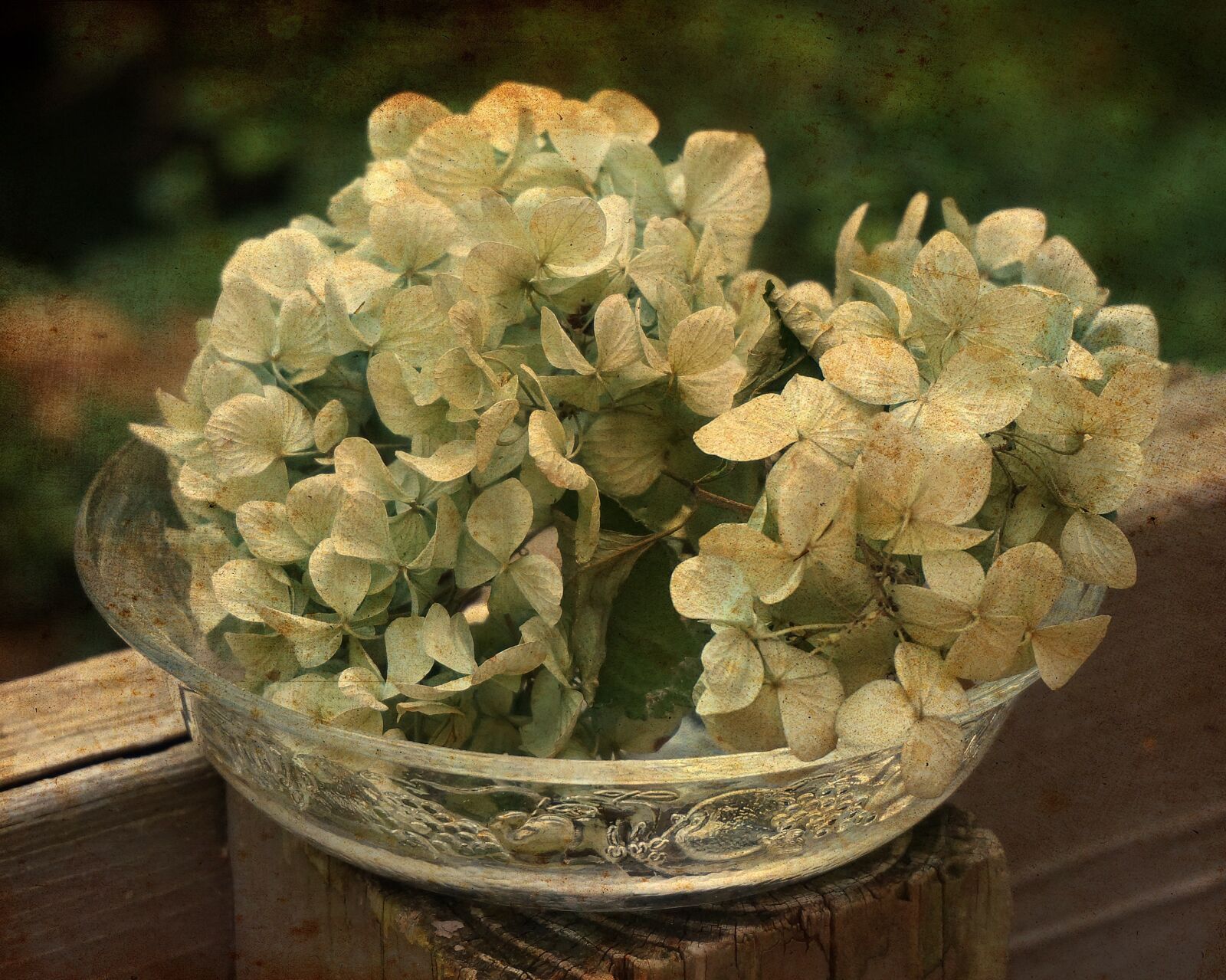 Sony Alpha NEX-5T sample photo. Dried hydrangeas in glass photography