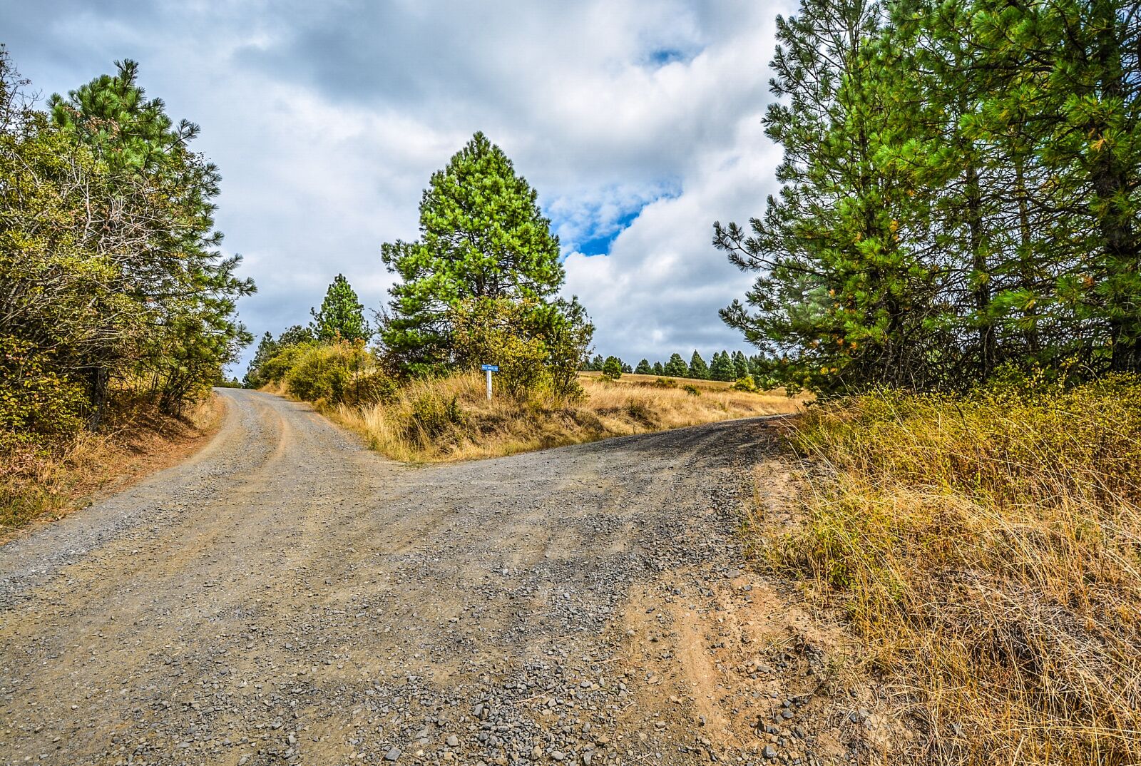 Nikon D5200 sample photo. Fork, road, dirt photography