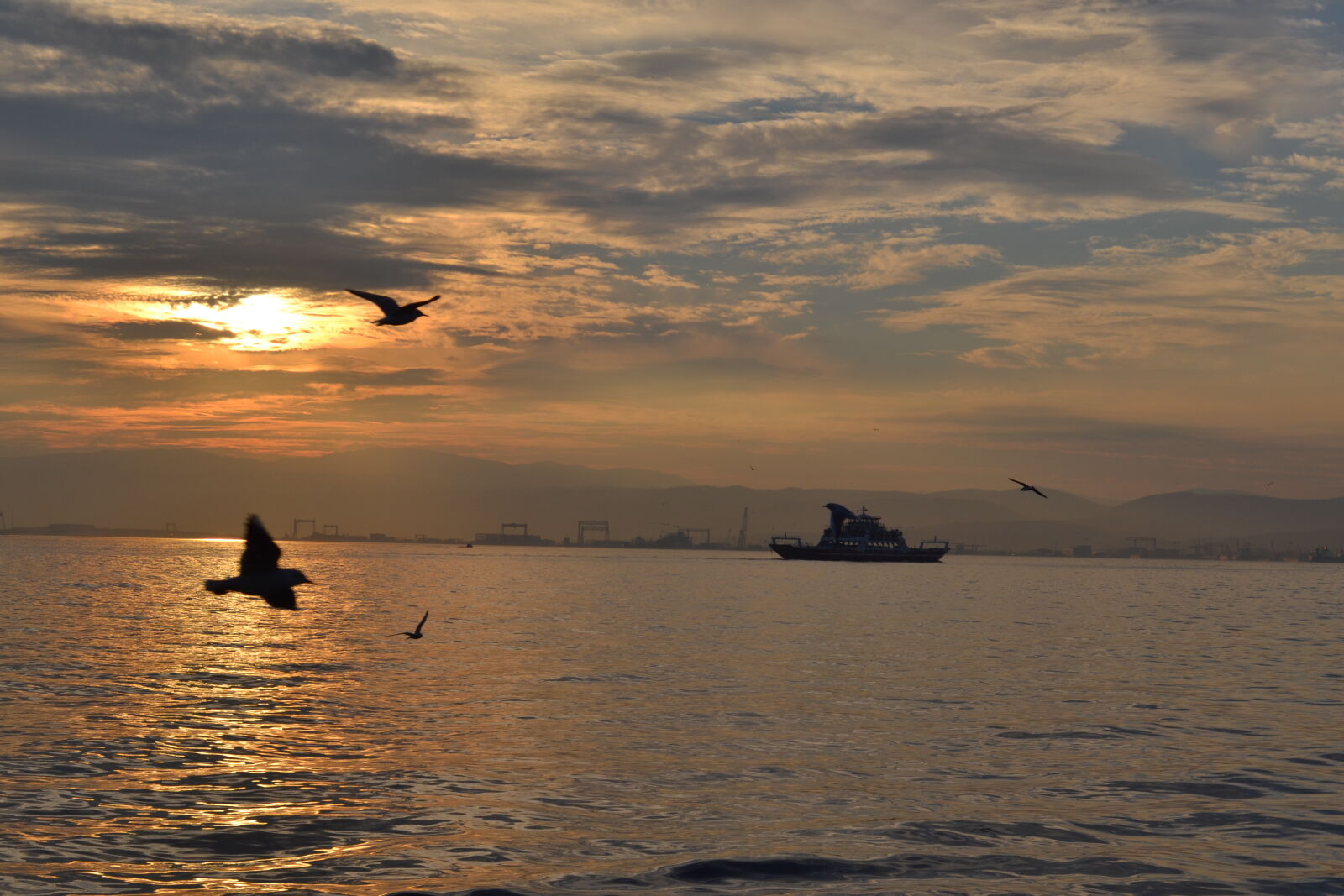 Nikon D3100 sample photo