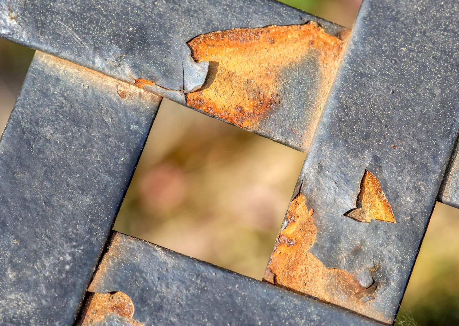 Canon EOS 60D sample photo. Background, texture, pattern photography