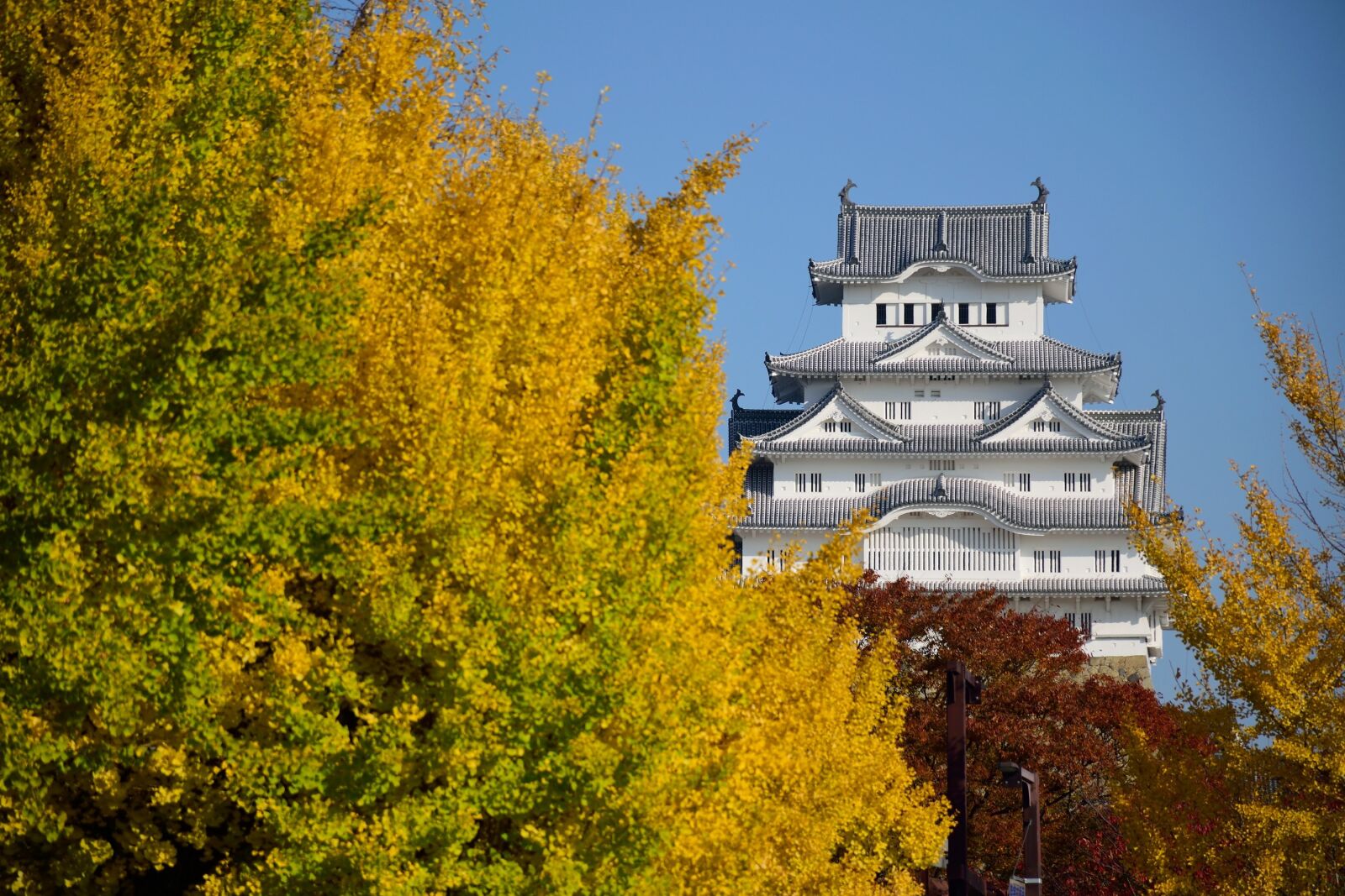 Nikon D5300 sample photo. Himeji, castle, japan photography