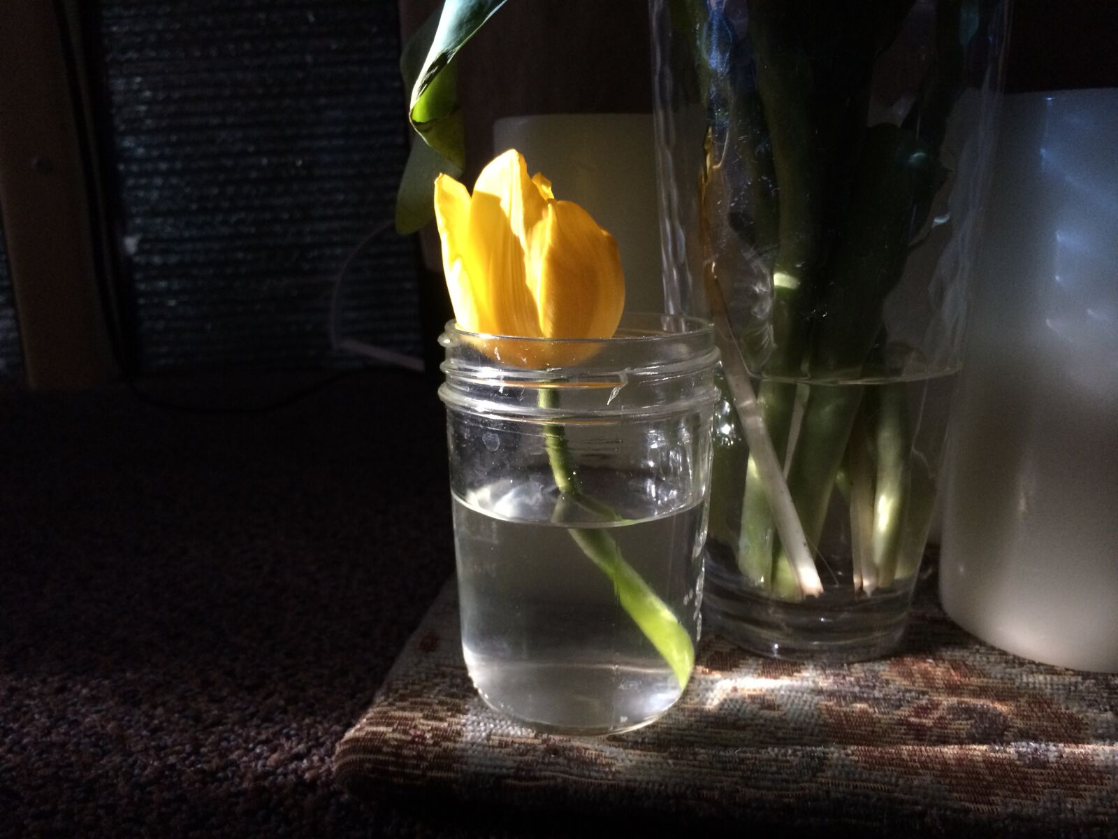 iPhone 5s back camera 4.15mm f/2.2 sample photo. Tulip, flowers, tulips photography