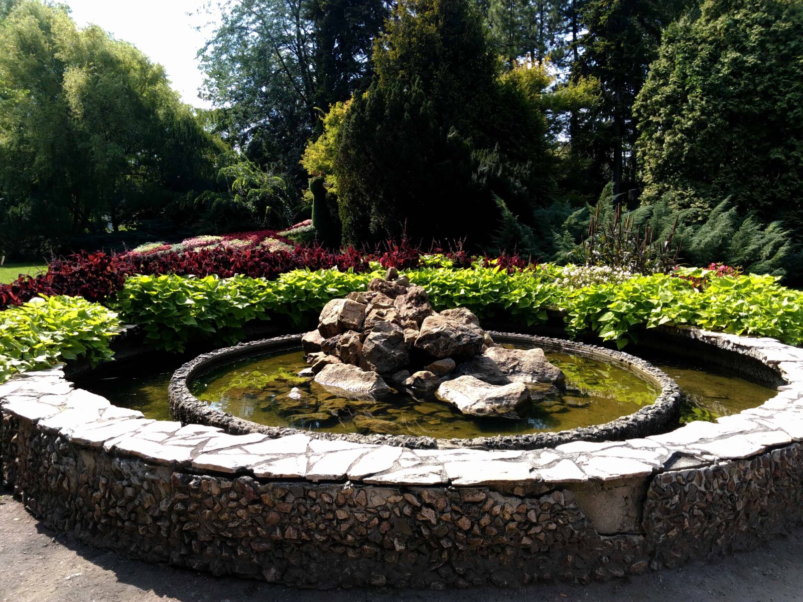 Lenovo S60-A sample photo. Tree, water, garden, horticulture photography
