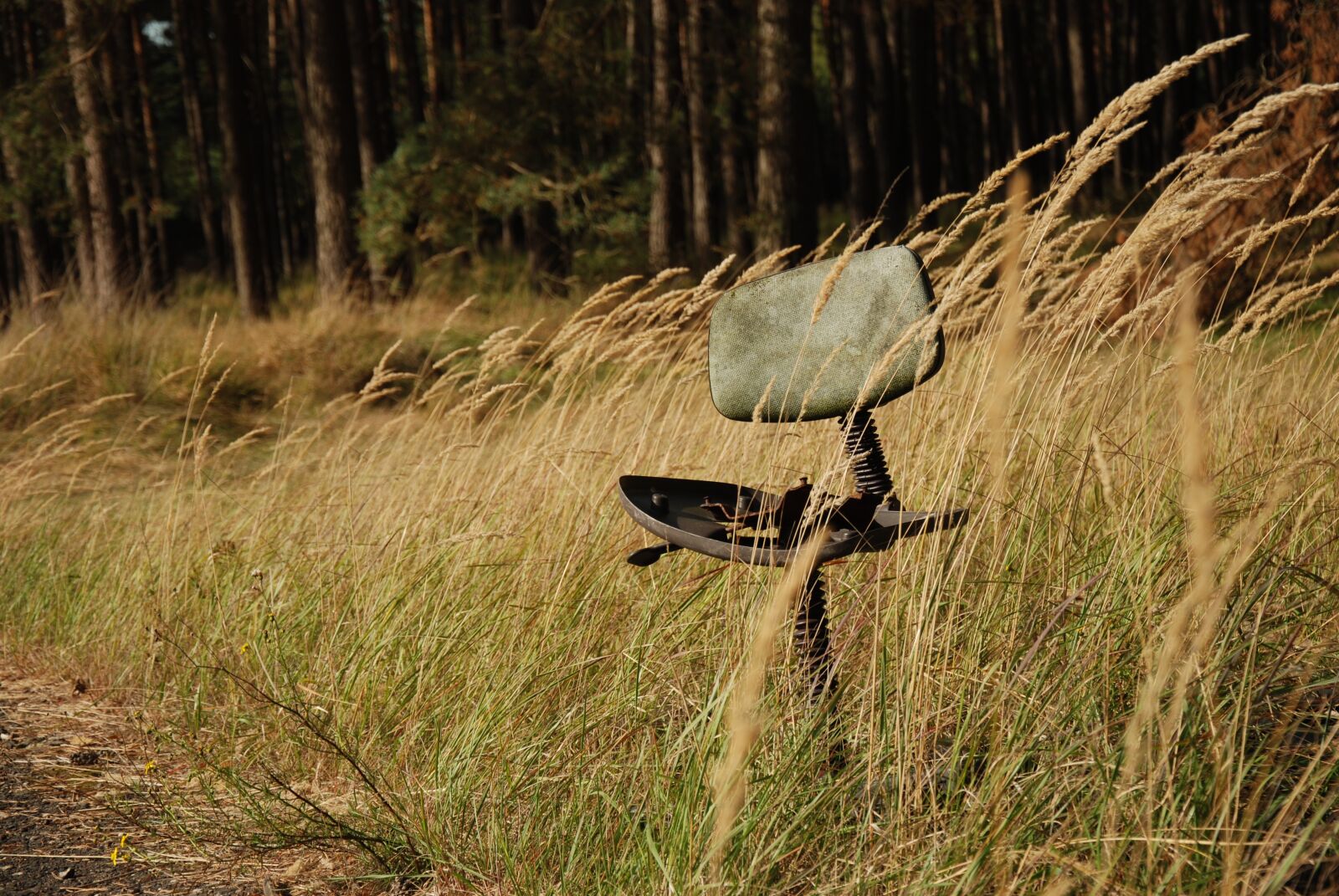 Nikon D80 sample photo. Chair, old, broken photography