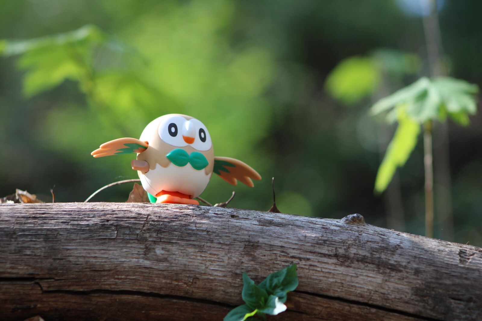 Canon EOS 2000D (EOS Rebel T7 / EOS Kiss X90 / EOS 1500D) sample photo. Pokemon, forest, monster photography