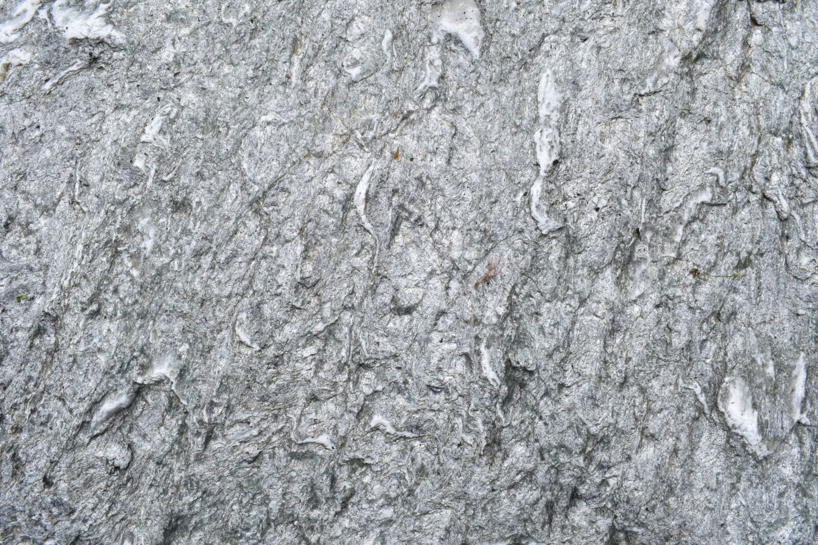 Nikon D5600 sample photo. Rock, weathered rock, nature photography
