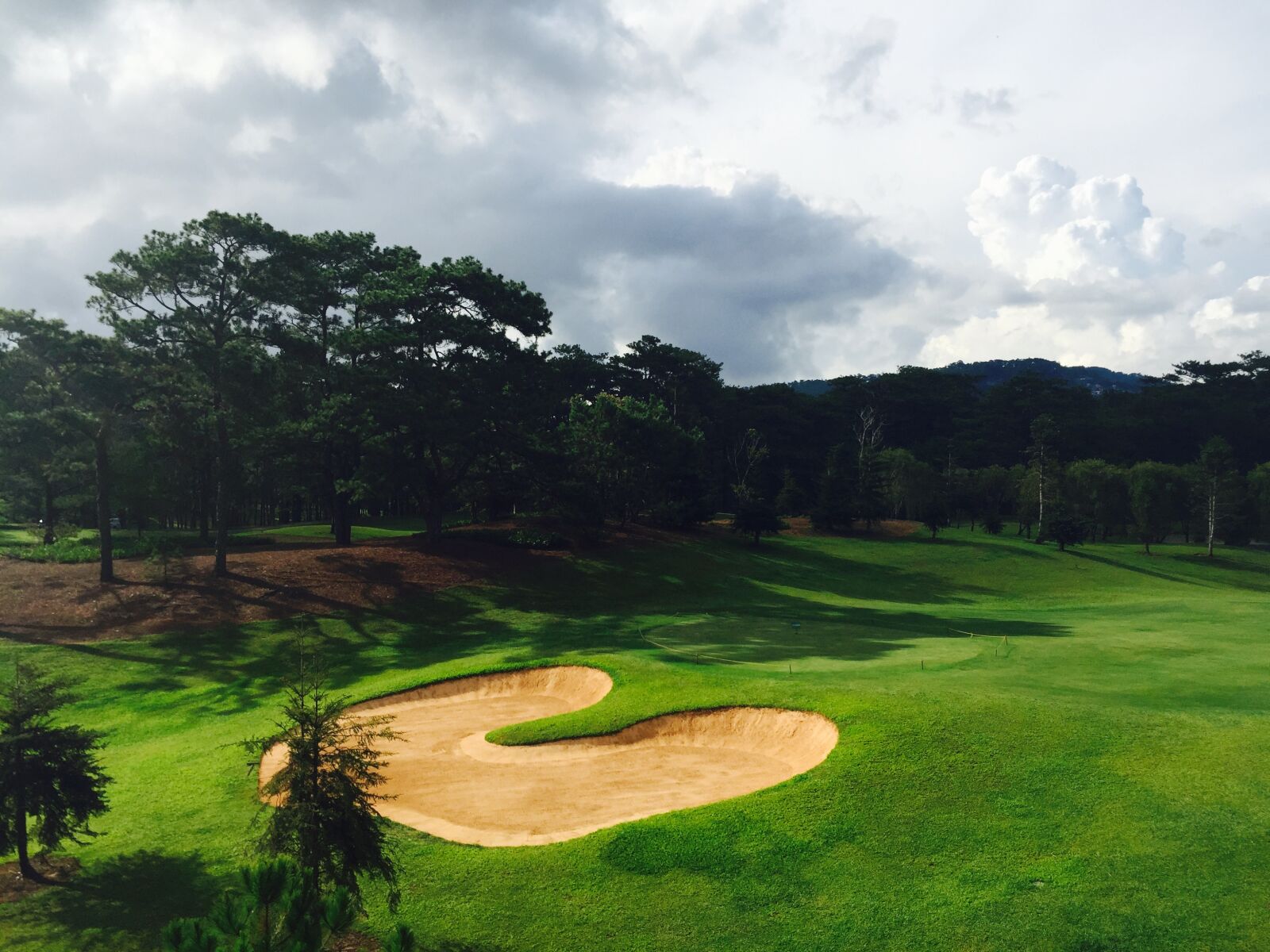 Apple iPhone 6 sample photo. Golf, green, nature, trees photography