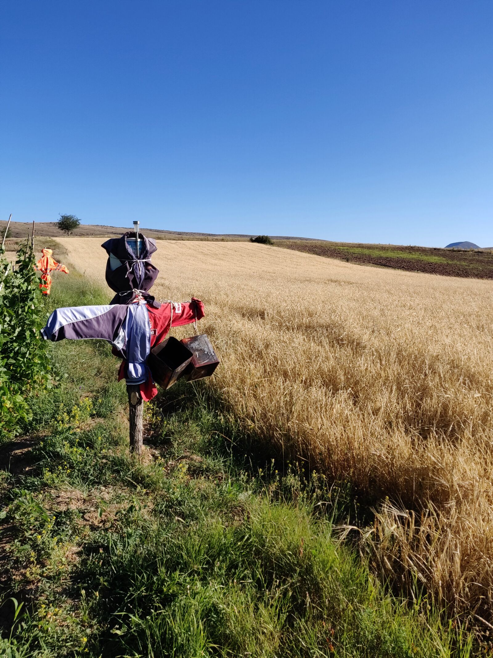 OnePlus 6T sample photo. Scarecrow, farm, landscape photography