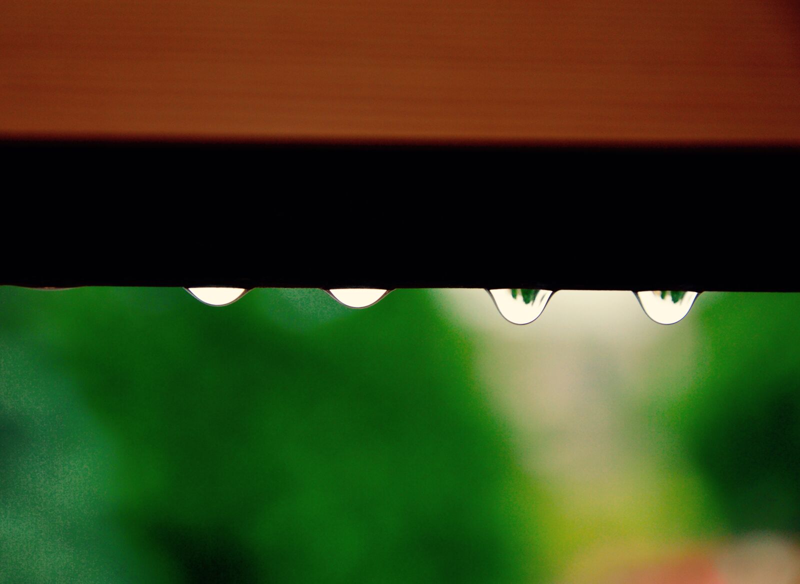 Nikon D3200 sample photo. Close, up, water, waterdrops photography