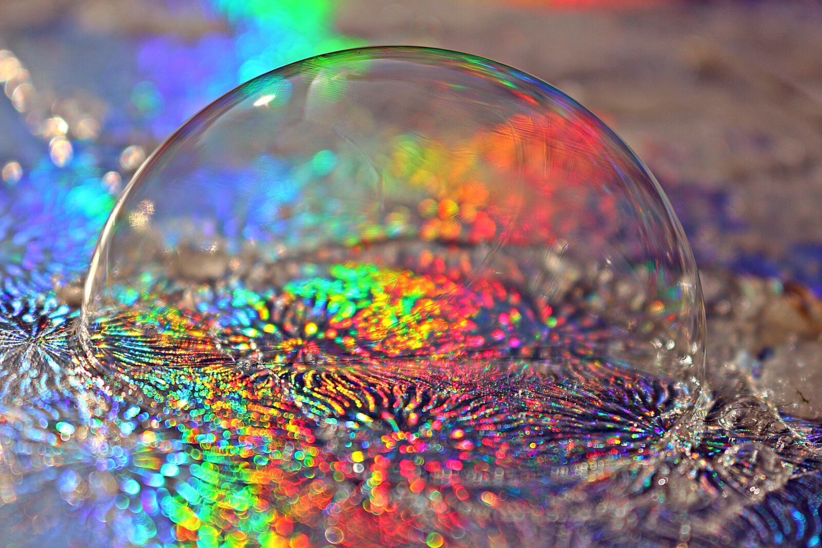 Canon EOS 100D (EOS Rebel SL1 / EOS Kiss X7) sample photo. Frozen bubble, soap bubble photography