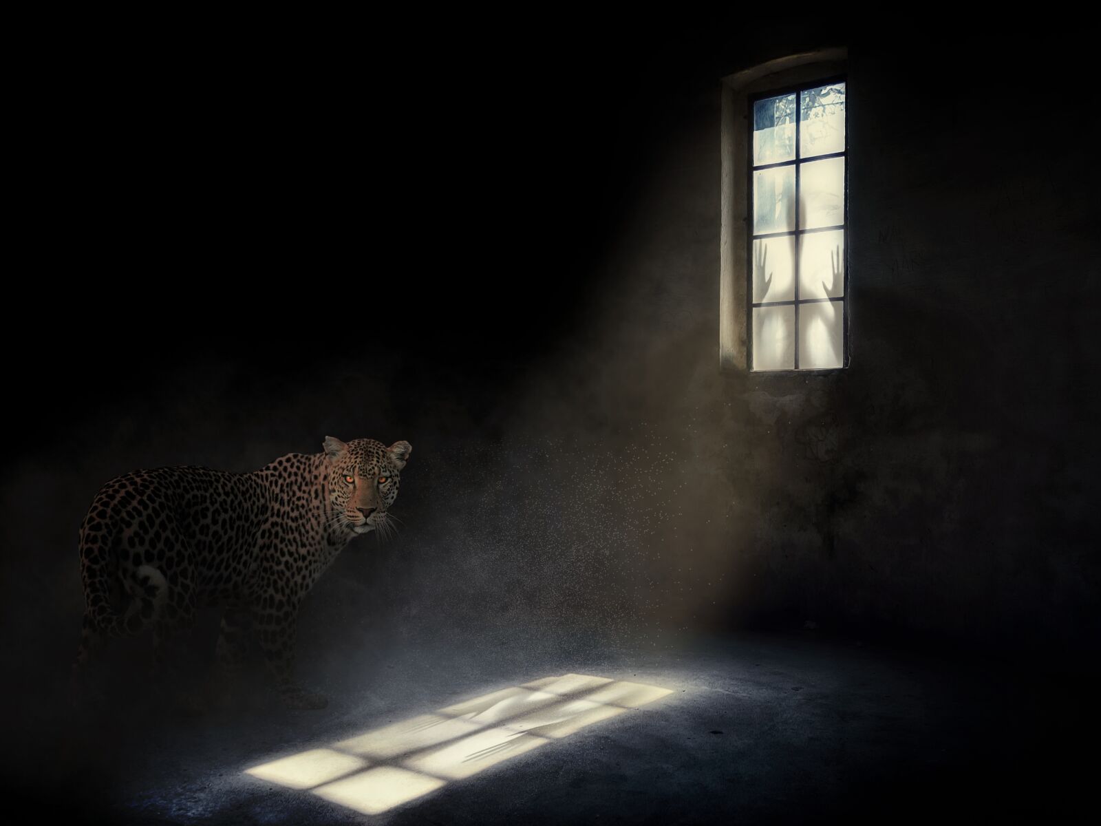 Nikon Z6 sample photo. Dark, window, light photography