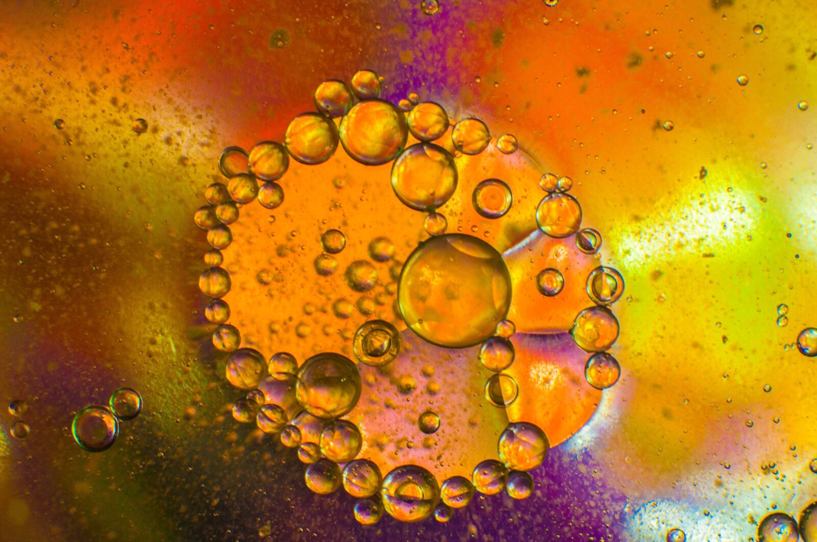 Nikon D90 sample photo. Macro, wheels, colors photography