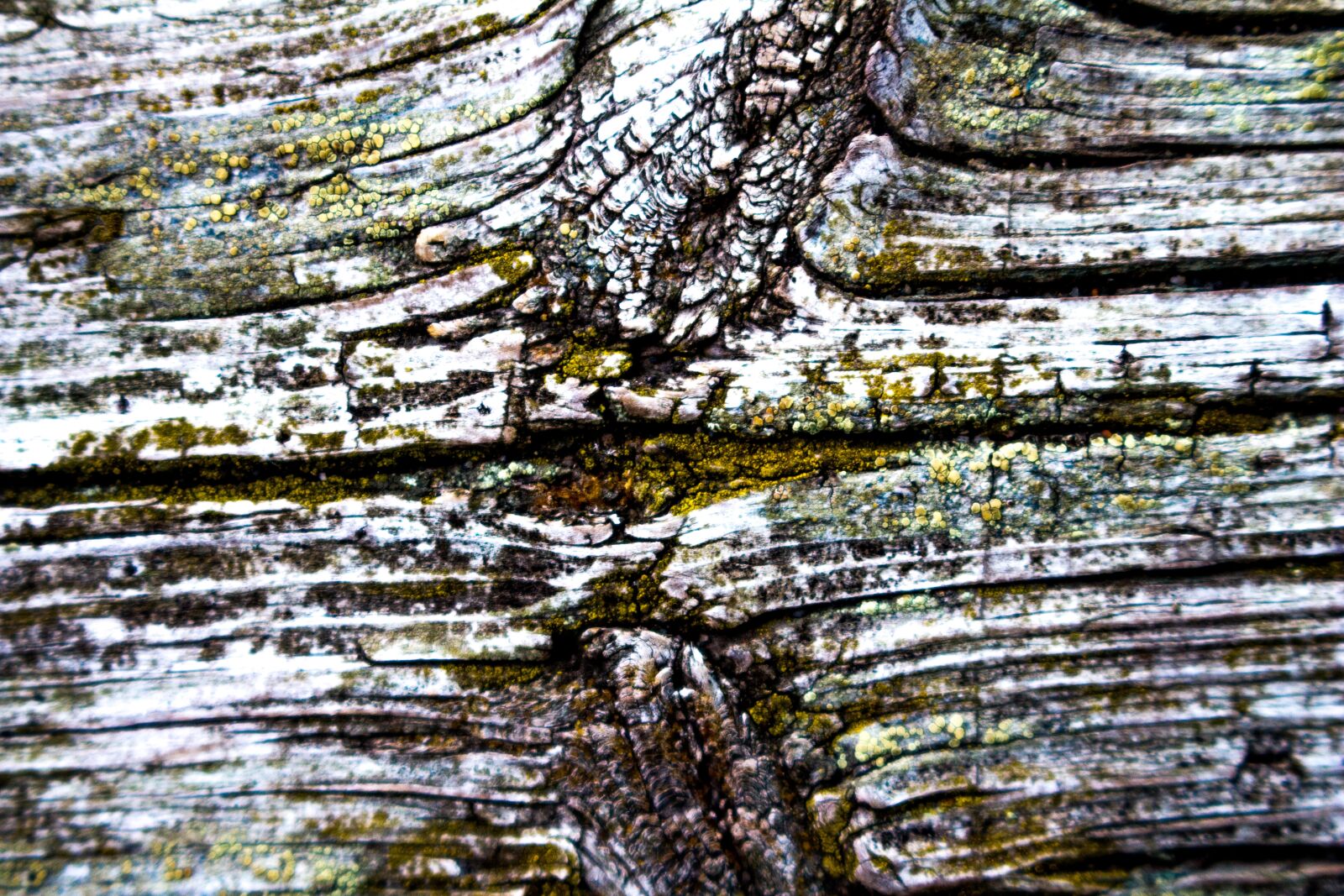 Canon EOS 700D (EOS Rebel T5i / EOS Kiss X7i) sample photo. Wood, old, worn photography