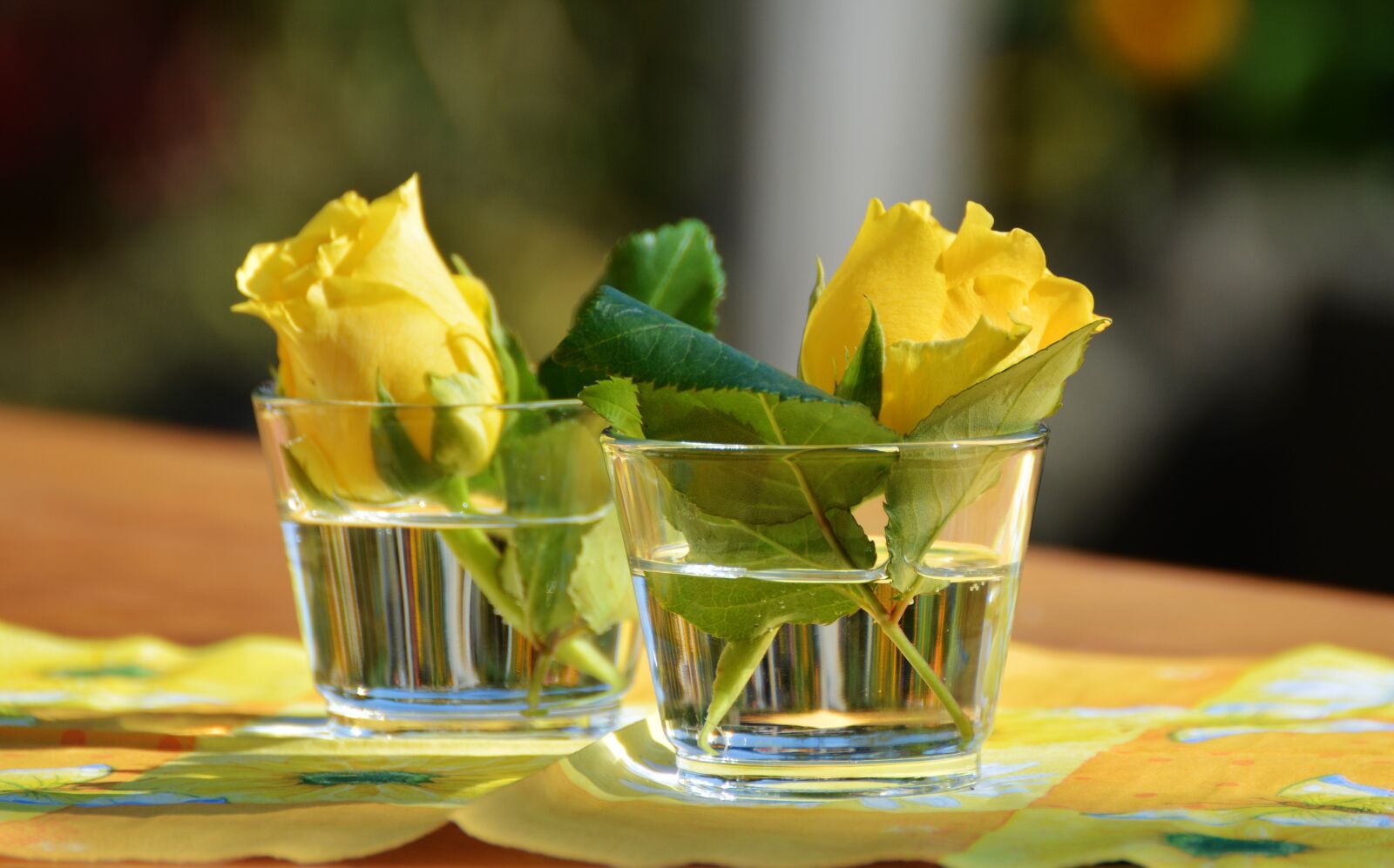 Nikon D5200 sample photo. Glass, vase, yellow roses photography