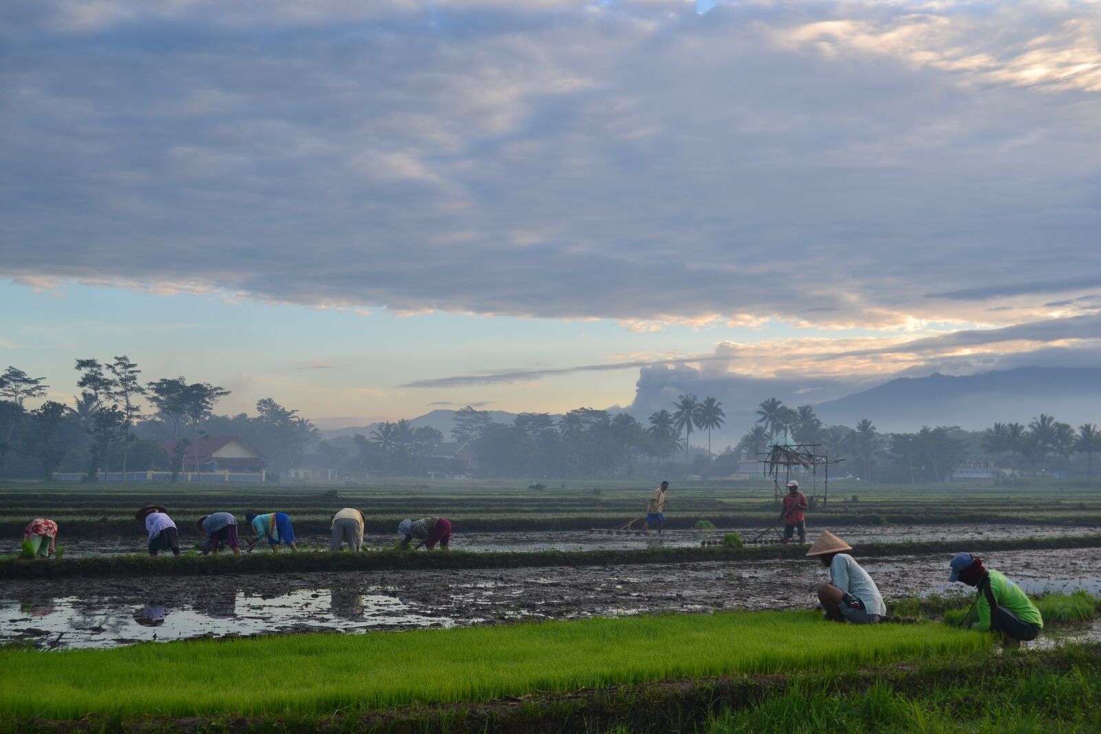 Nikon D3100 sample photo. Landscape, nature, clouds photography