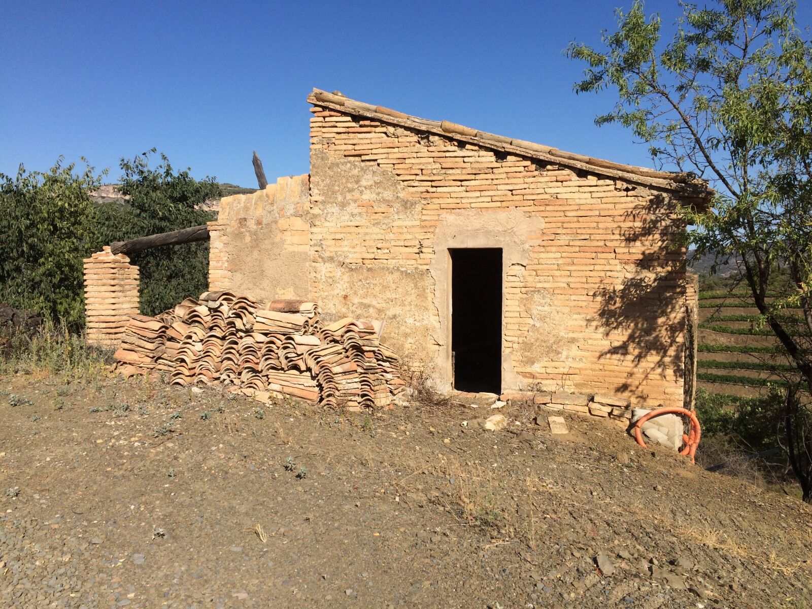 iPhone 5s back camera 4.15mm f/2.2 sample photo. Vineyard, spain, cottage photography