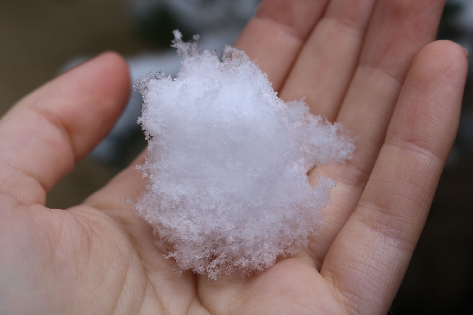Canon EOS 750D (EOS Rebel T6i / EOS Kiss X8i) sample photo. Snow photography