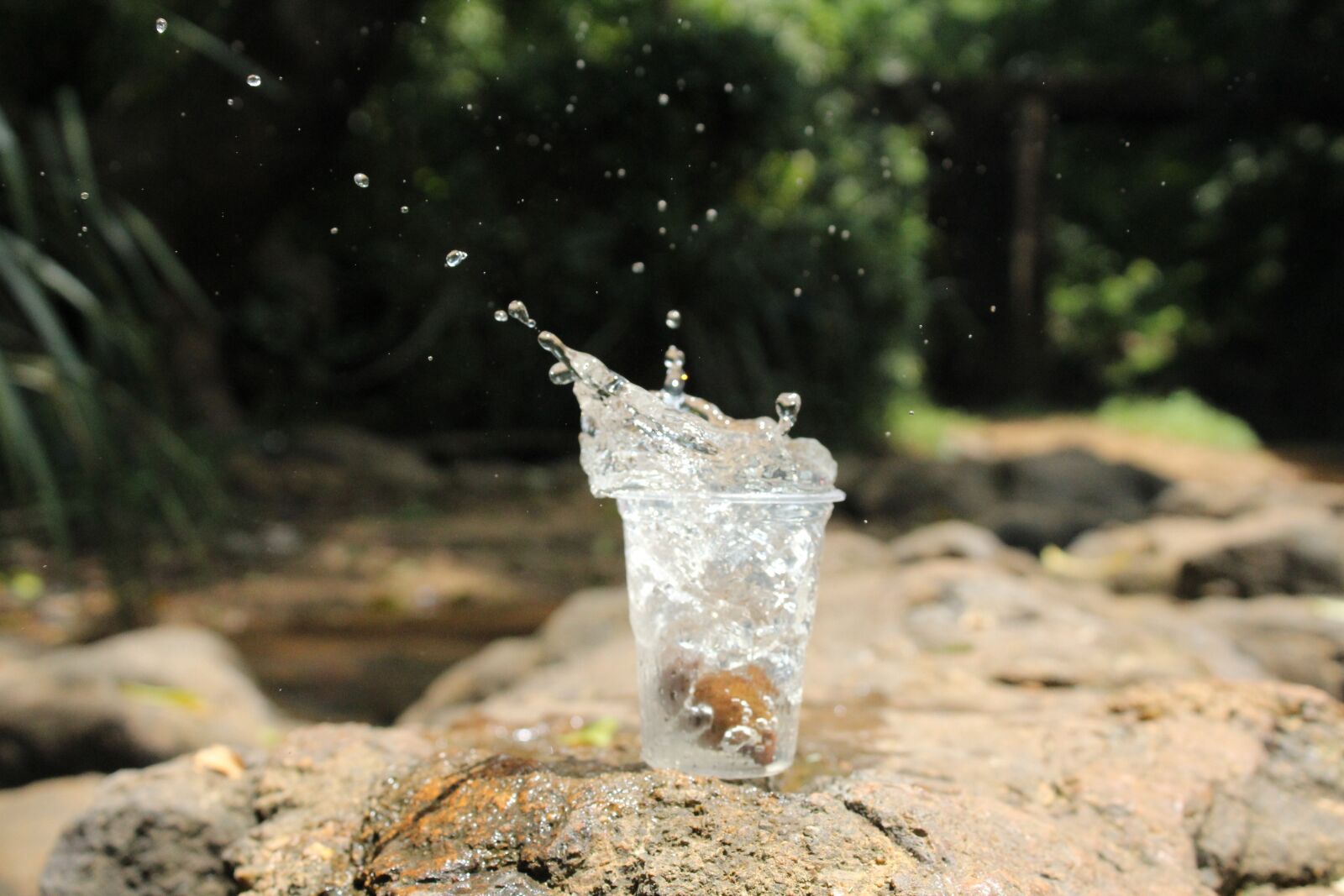 Canon EOS 1200D (EOS Rebel T5 / EOS Kiss X70 / EOS Hi) sample photo. Shatter, speed, shot photography