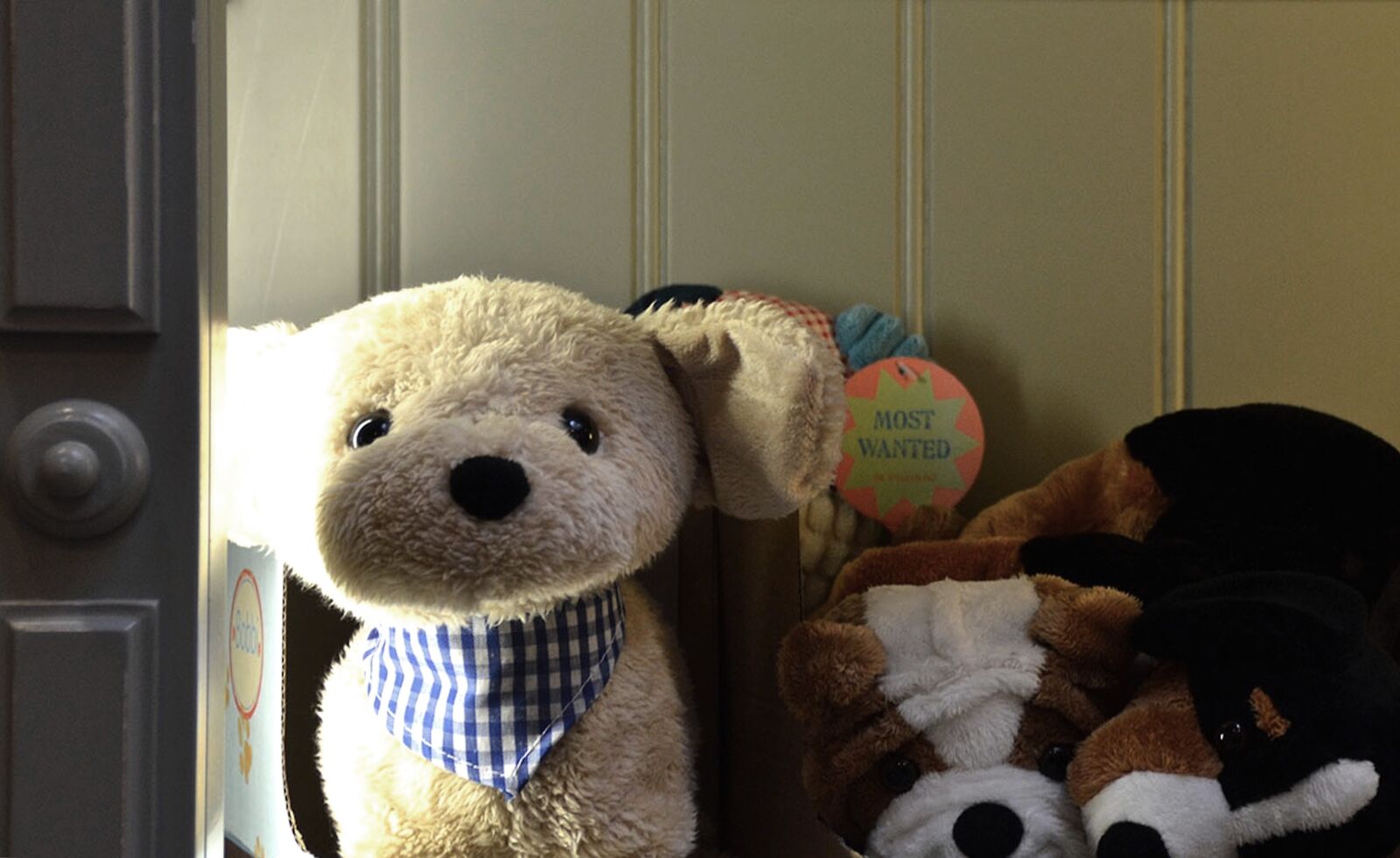 Nikon D3200 sample photo. Teddy, bear, bears photography