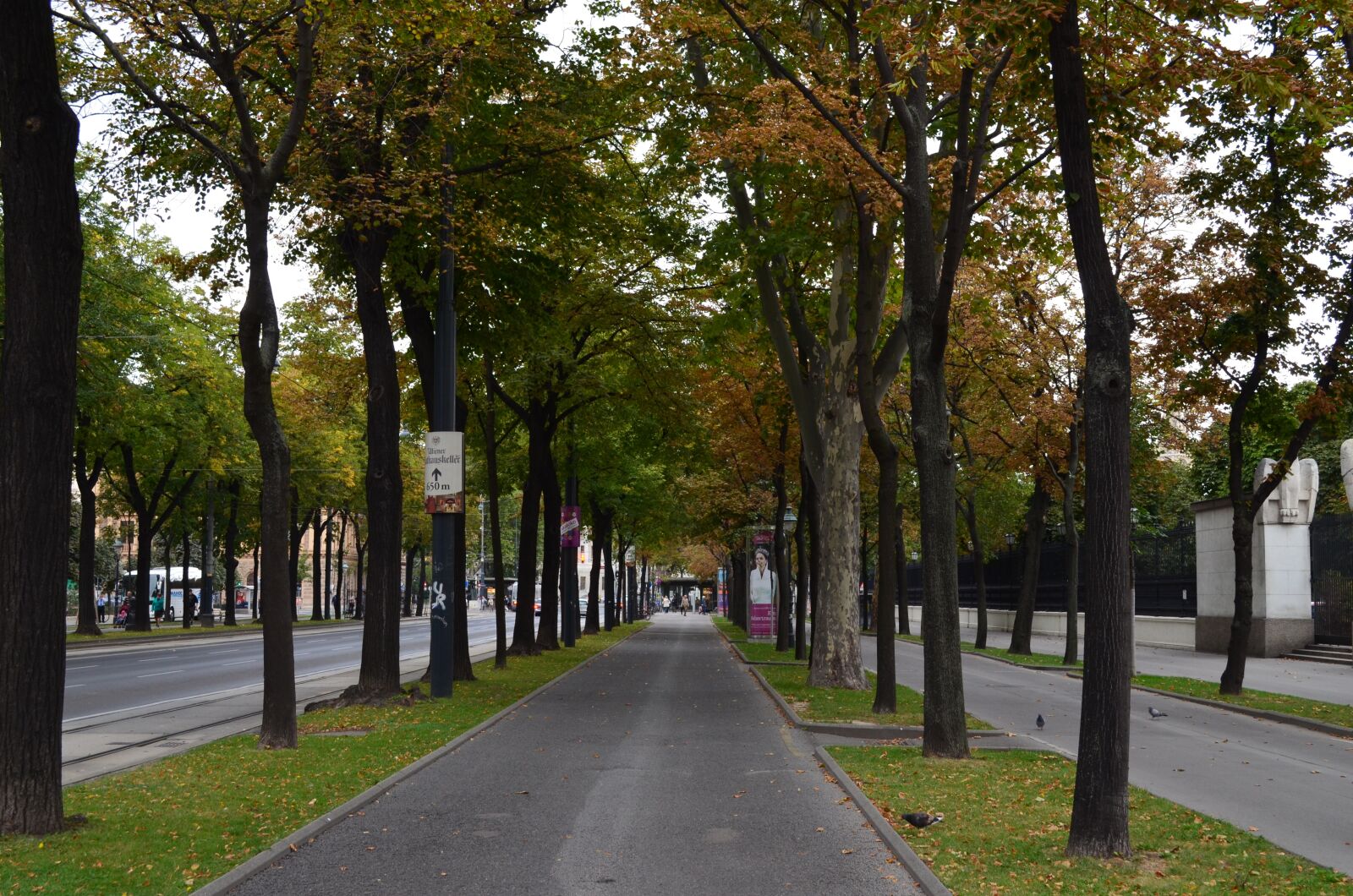 Nikon D5100 sample photo. Forest, road, natural photography