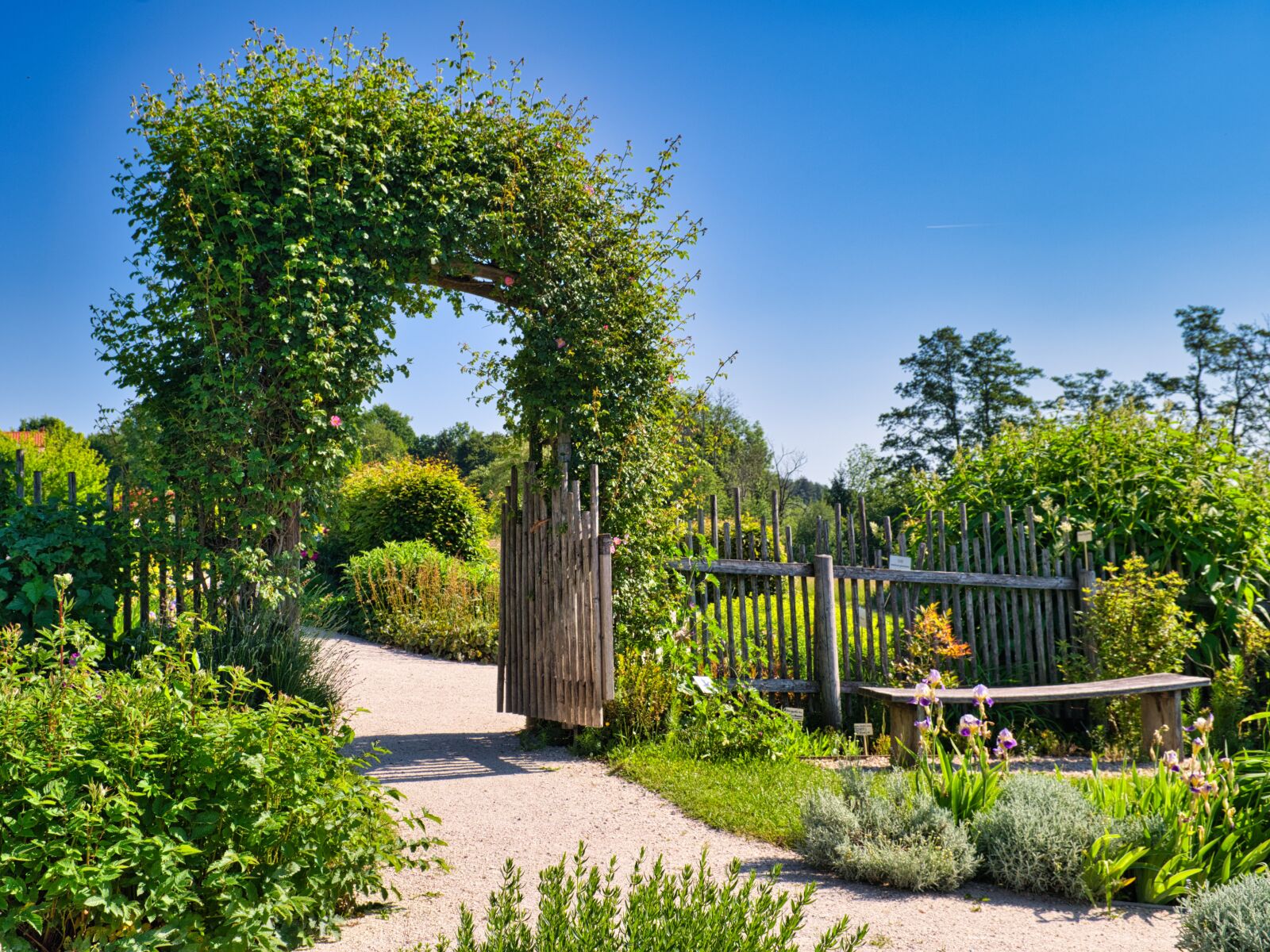 Nikon D7500 sample photo. Garden, green, nature photography