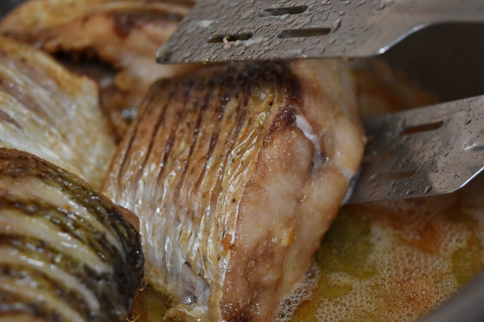 Nikon D5500 sample photo. Cholesterol, cutlery, dinner, freshwater photography
