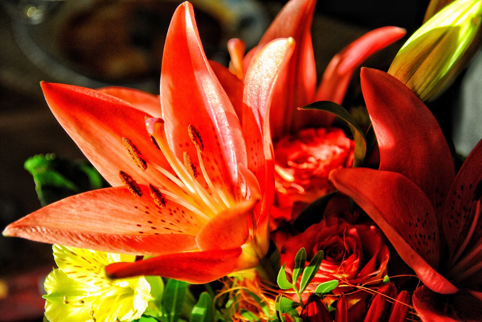 Nikon D3000 sample photo. Plant, flower, blossom photography