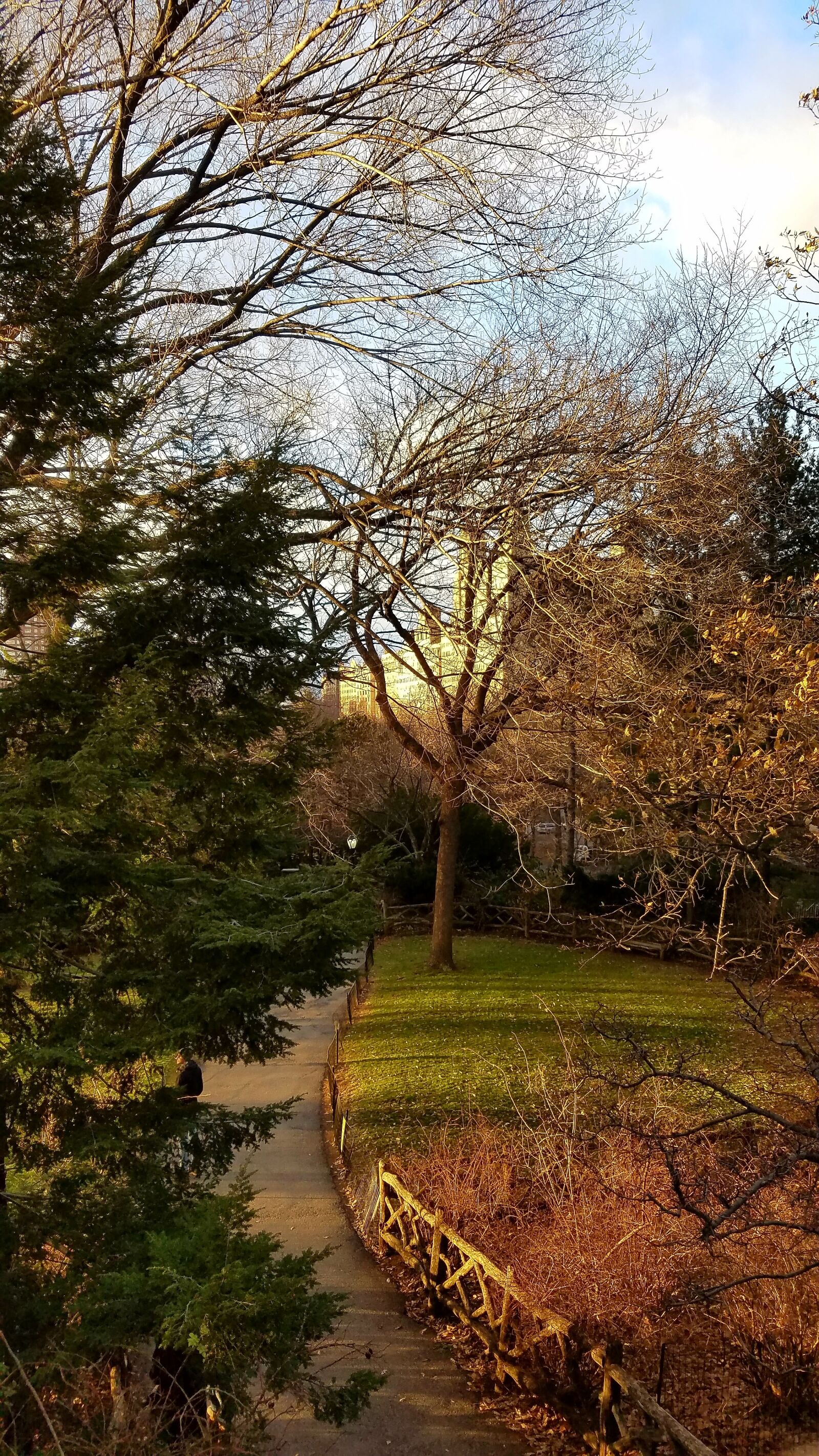 Samsung Galaxy S7 sample photo. Au, autumn, colours photography