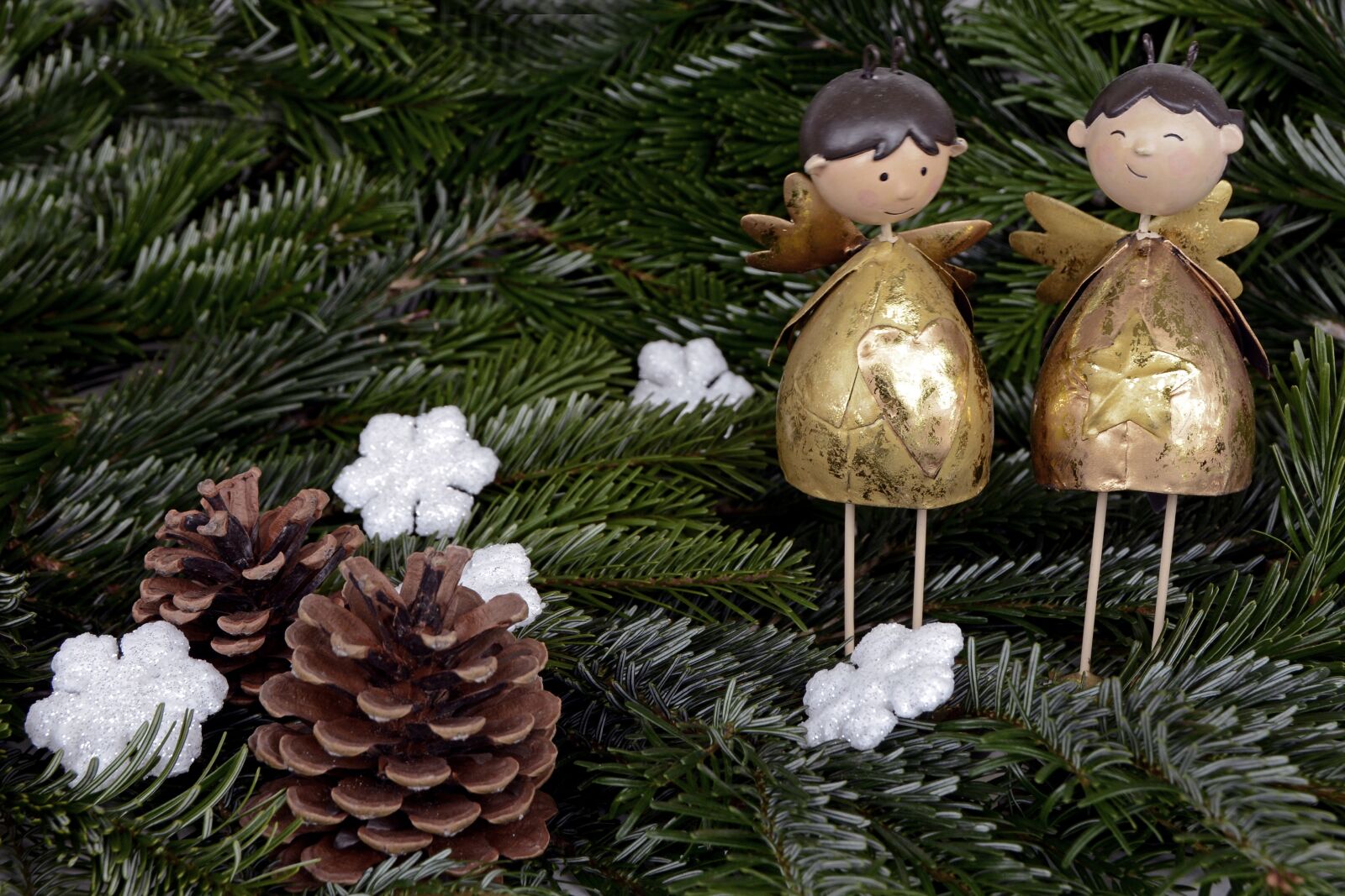 Nikon D7100 sample photo. Christmas, angel, angel wings photography