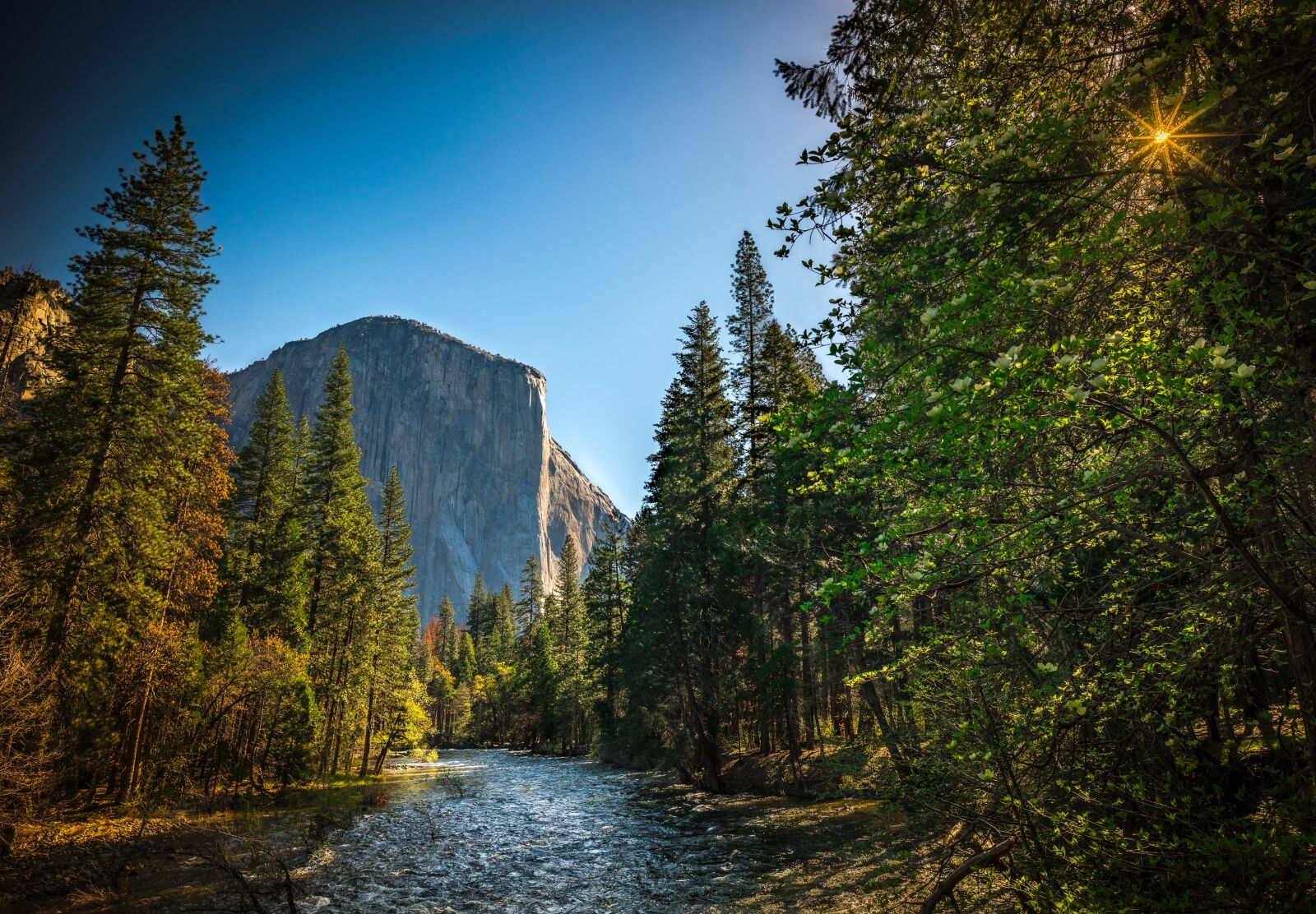 Sony a7R II + E 21mm F2.8 sample photo. Yosemite, el capitan, california photography