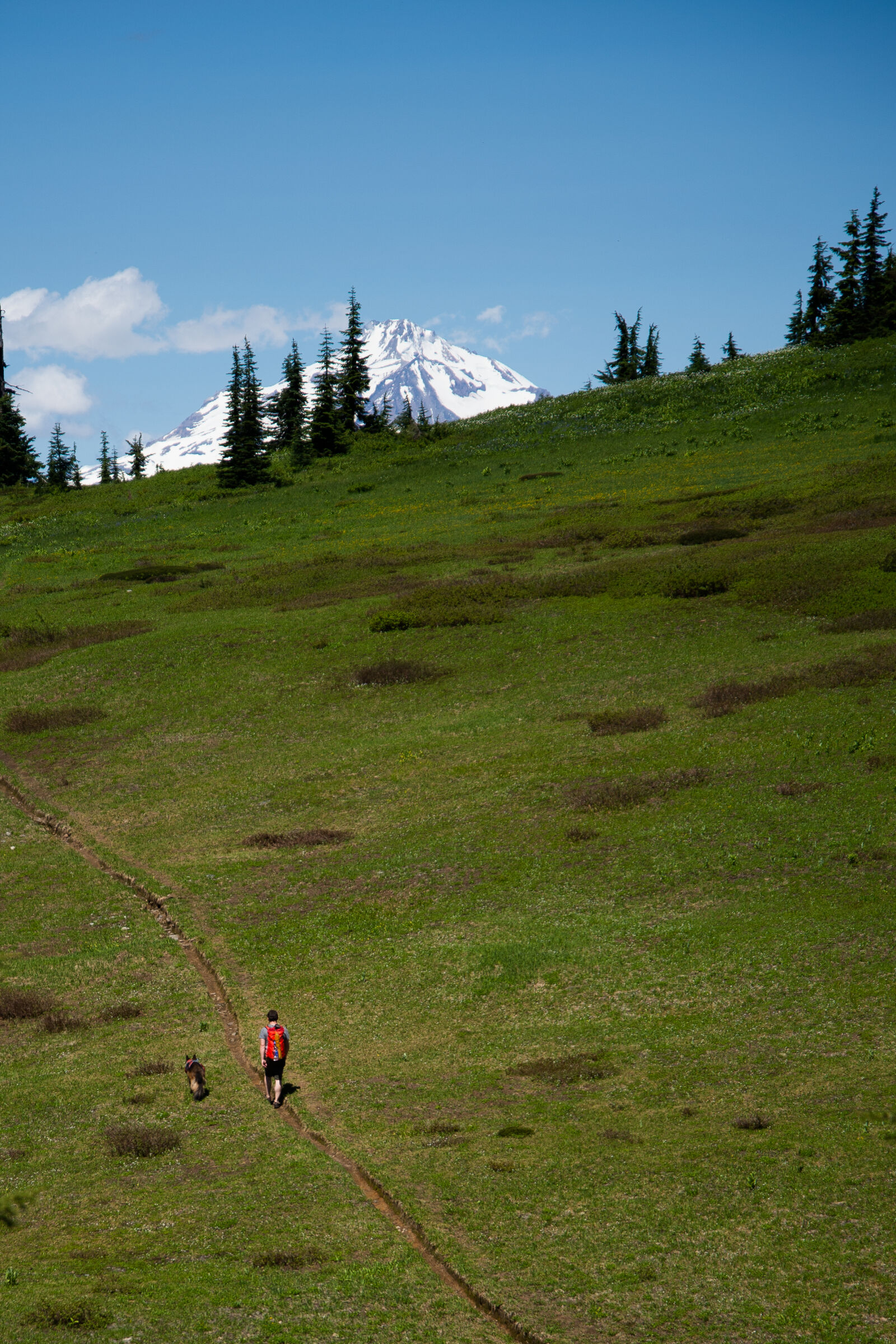 Nikon D600 sample photo. Adventure, daylight, grass, hike photography