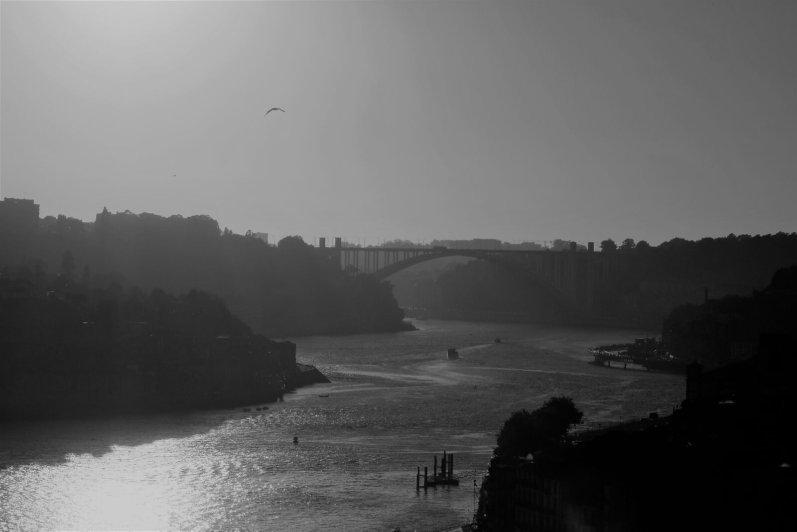 Nikon D810 sample photo. Port, portugal, tourism photography