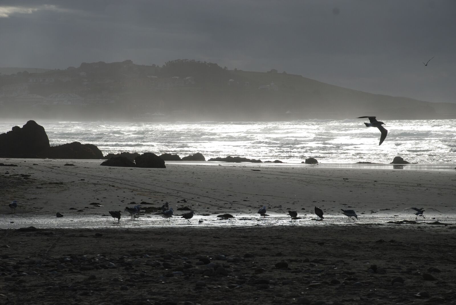 Nikon D80 sample photo. Sea, waves, seagulls photography