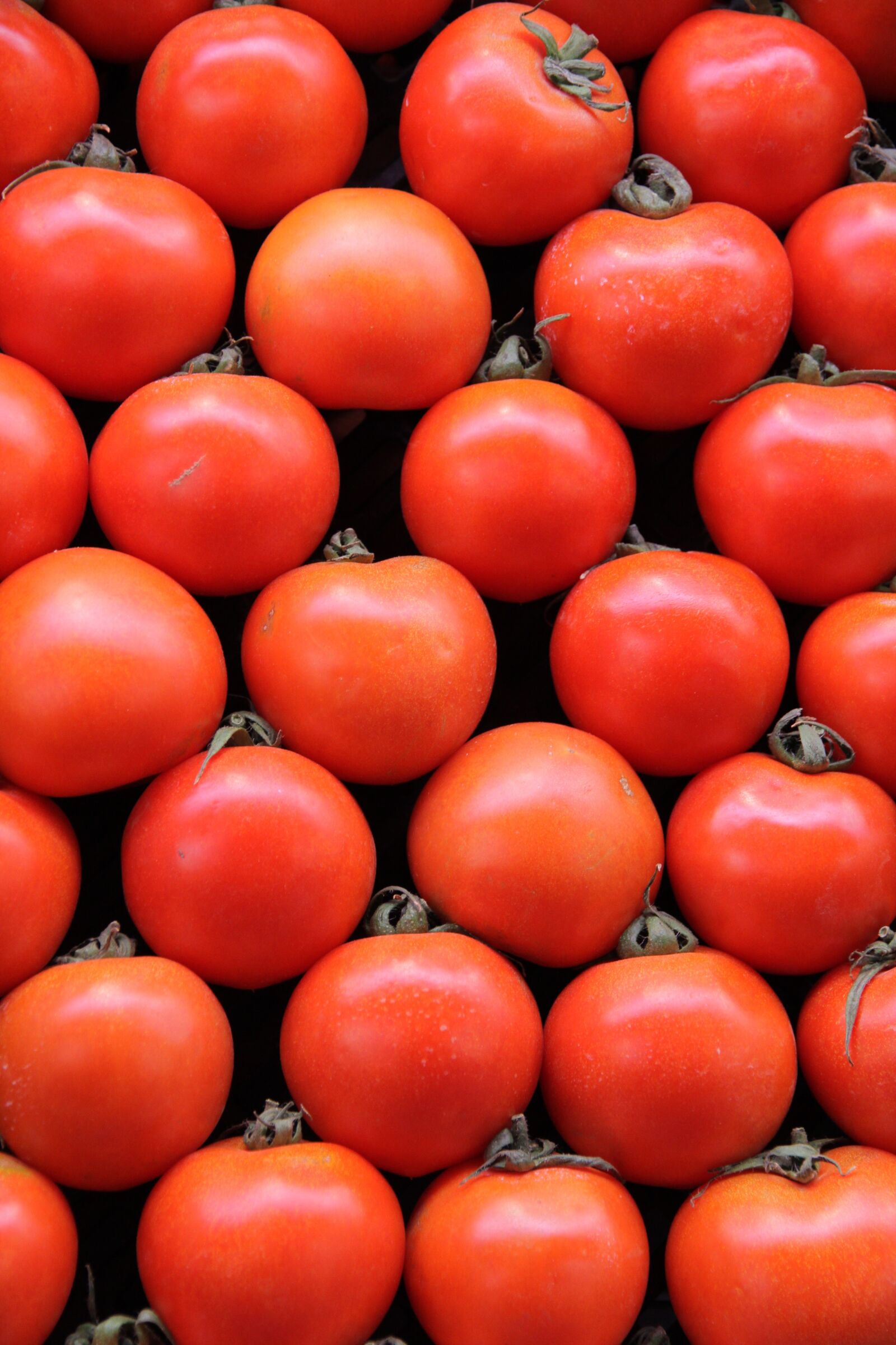 Canon EOS 7D sample photo. Tomato, market, texture photography
