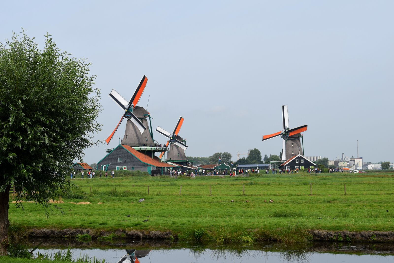 Nikon D3300 sample photo. Windmills, dutch landscape, landscape photography