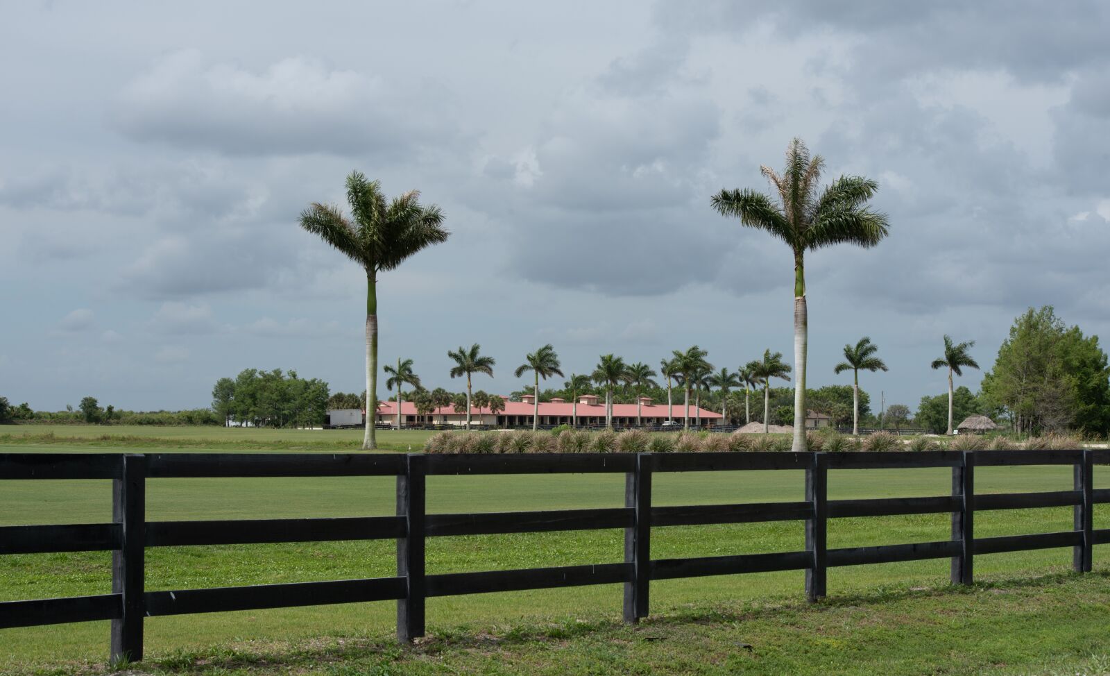 Nikon D750 sample photo. Tree, fence, landscape photography
