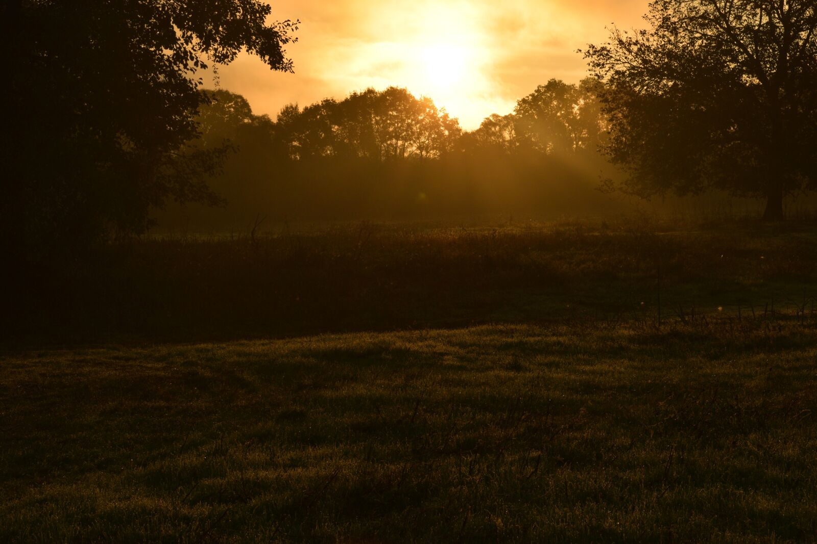 Nikon D3300 sample photo. Bulgaria, sunrise, mountain photography