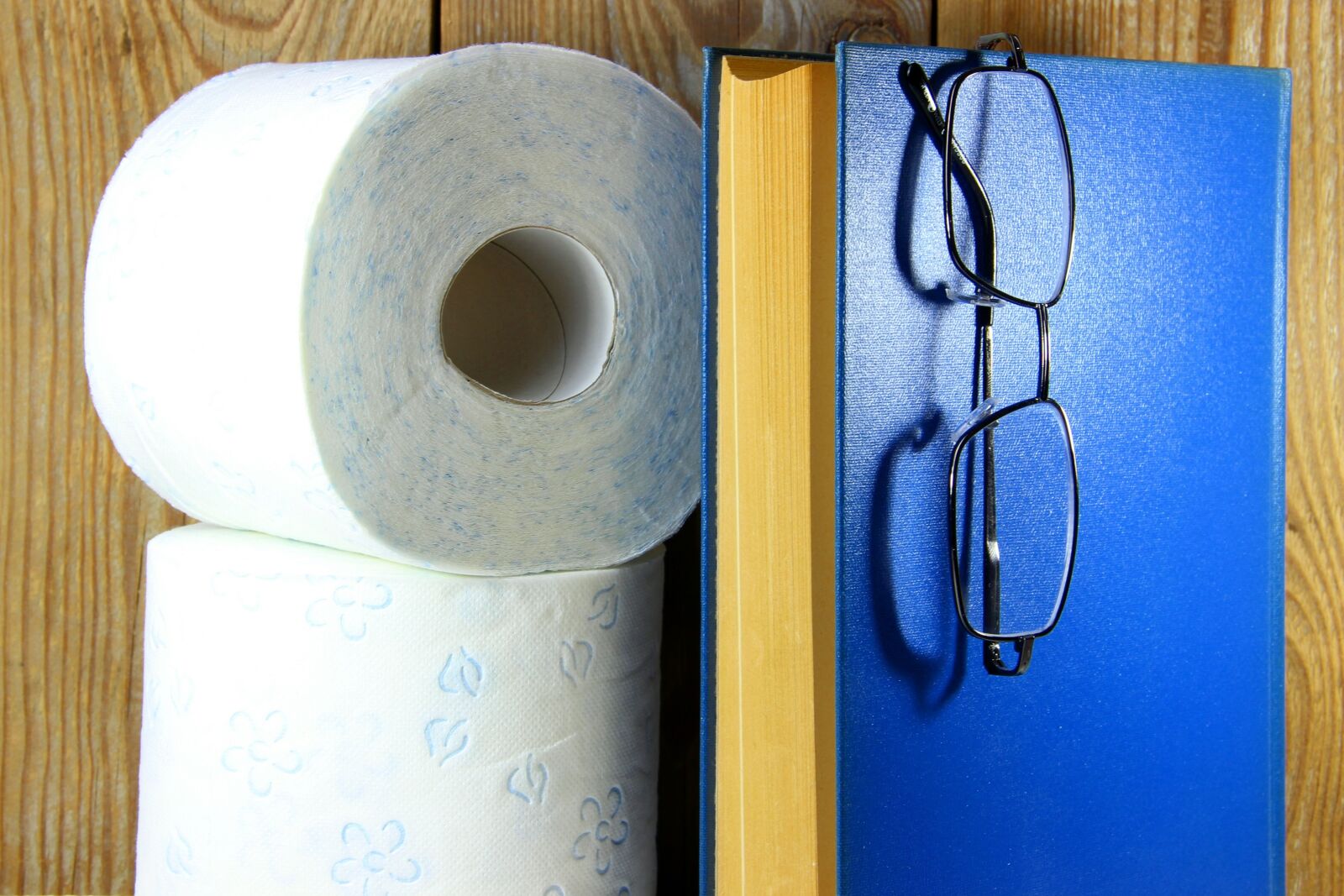 Canon EOS 600D (Rebel EOS T3i / EOS Kiss X5) sample photo. Toilet paper, roll, wood photography