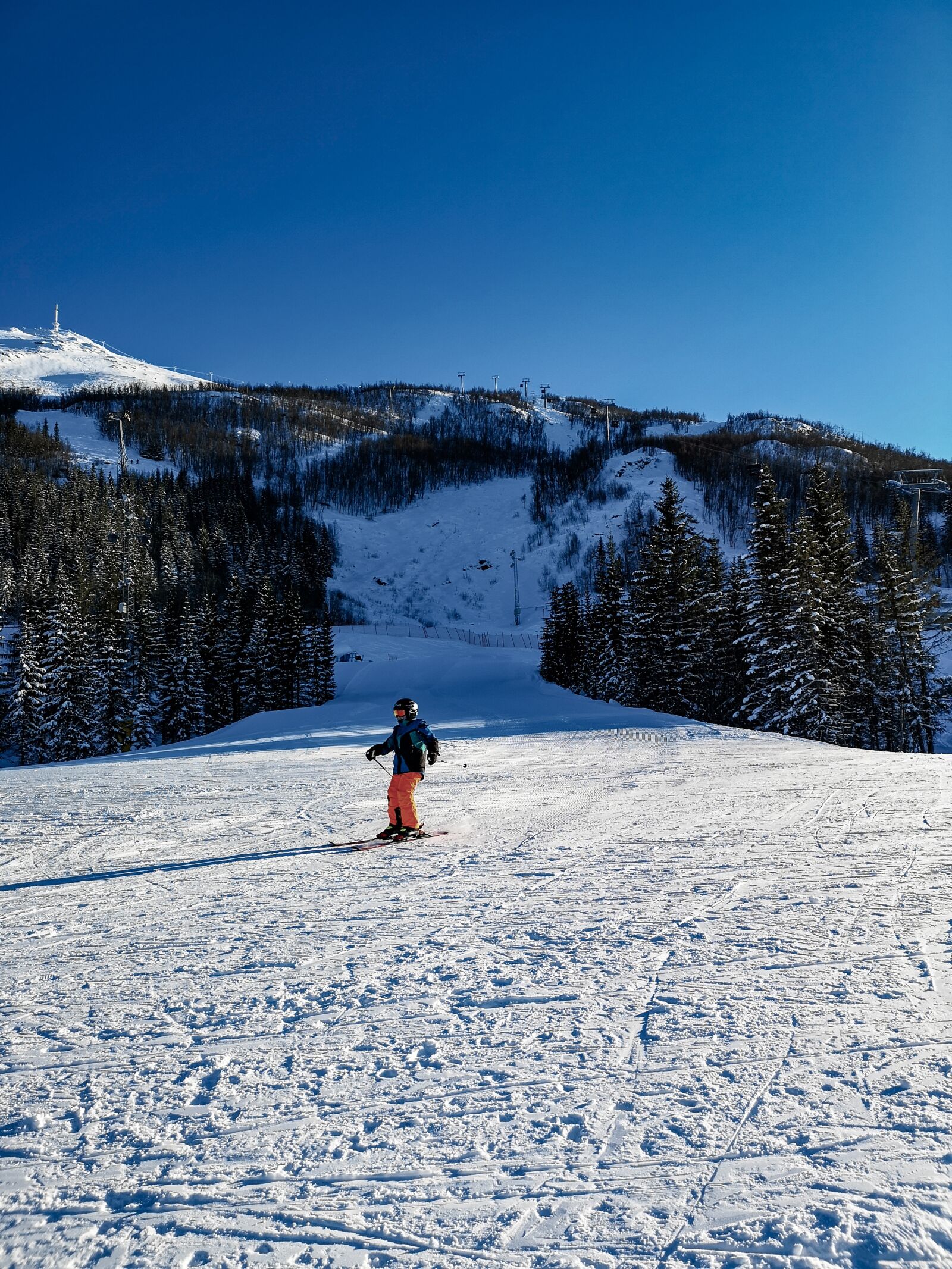 HUAWEI CLT-L29 sample photo. Ski, skiing, skies photography