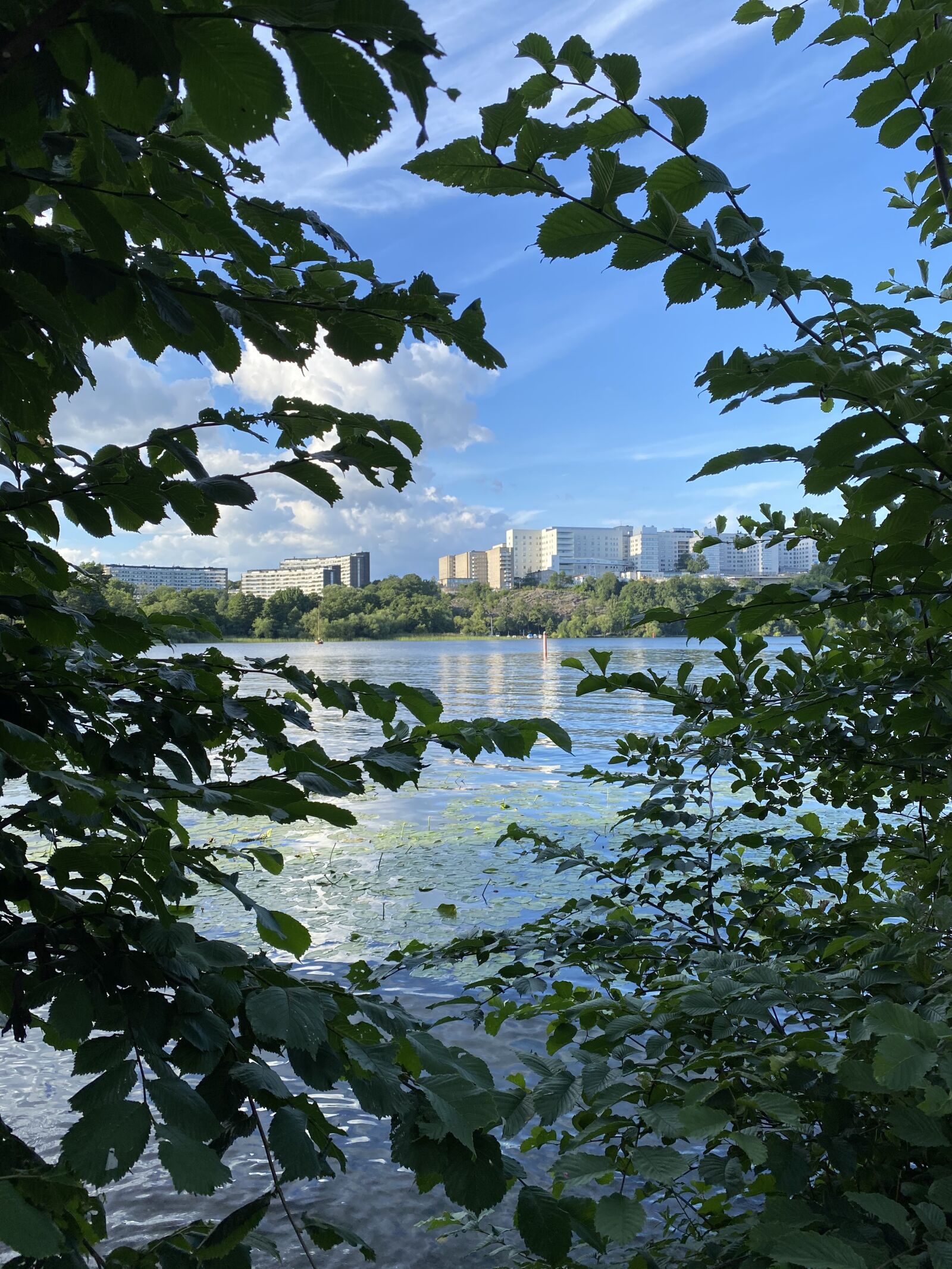 Apple iPhone 11 sample photo. Rstaviken, water, the southern photography