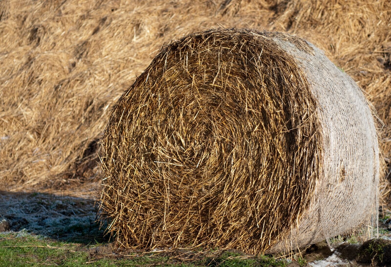 Nikon D300 sample photo. Haystack, straw, agriculture photography
